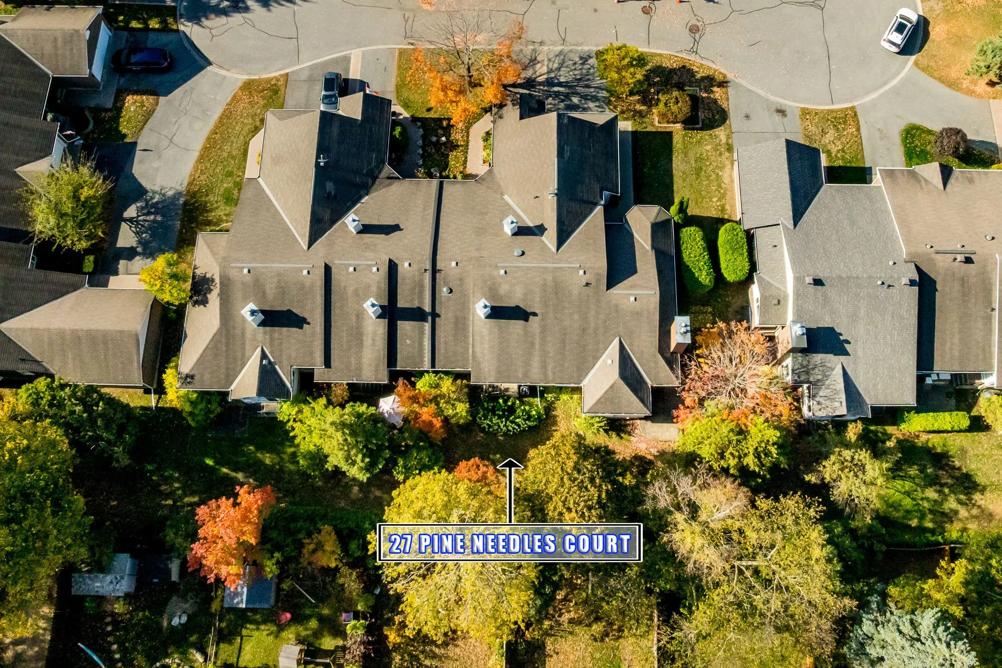 27 Pine Needles_045.jpg