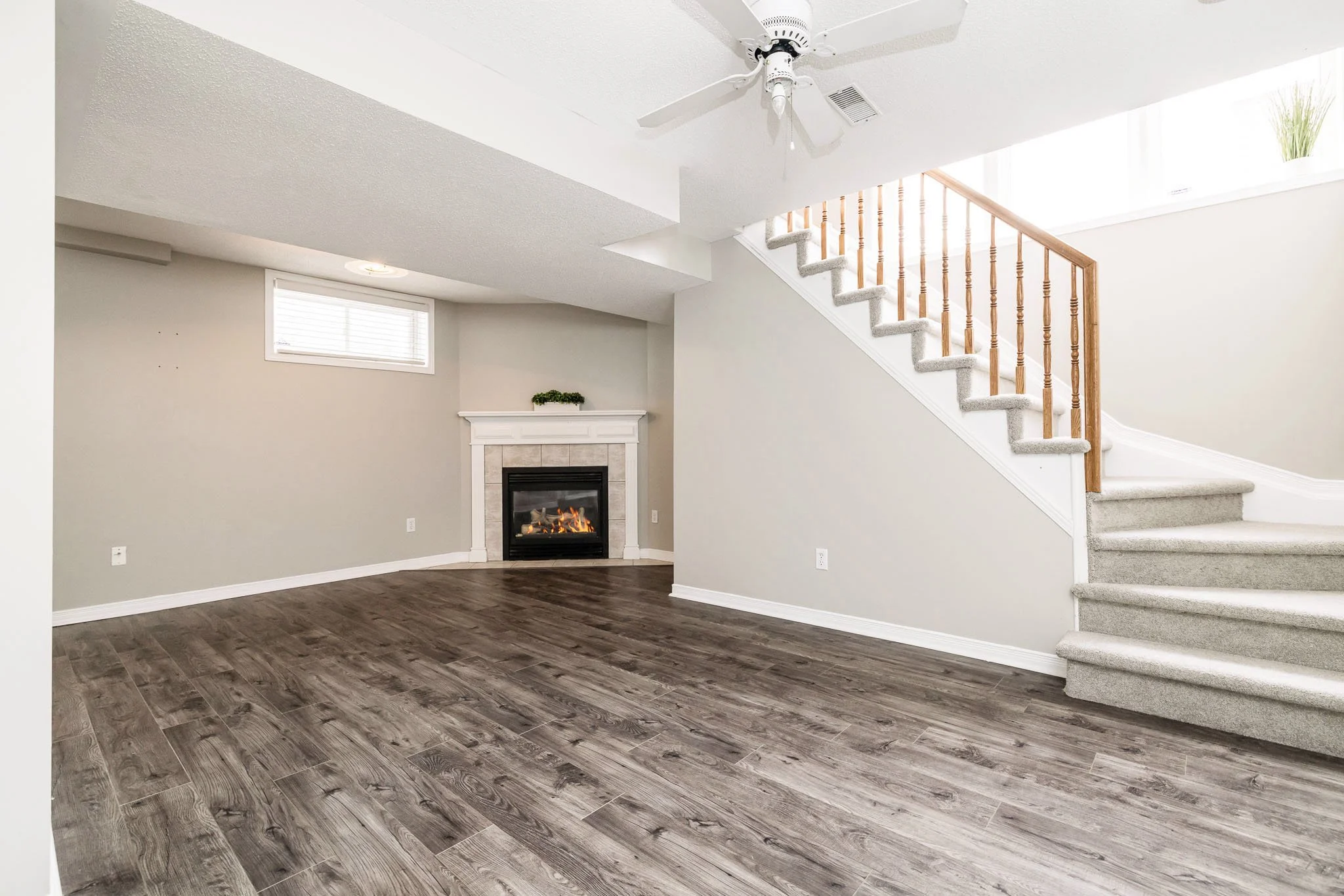 92 Deerfox_Upd3_048.jpg