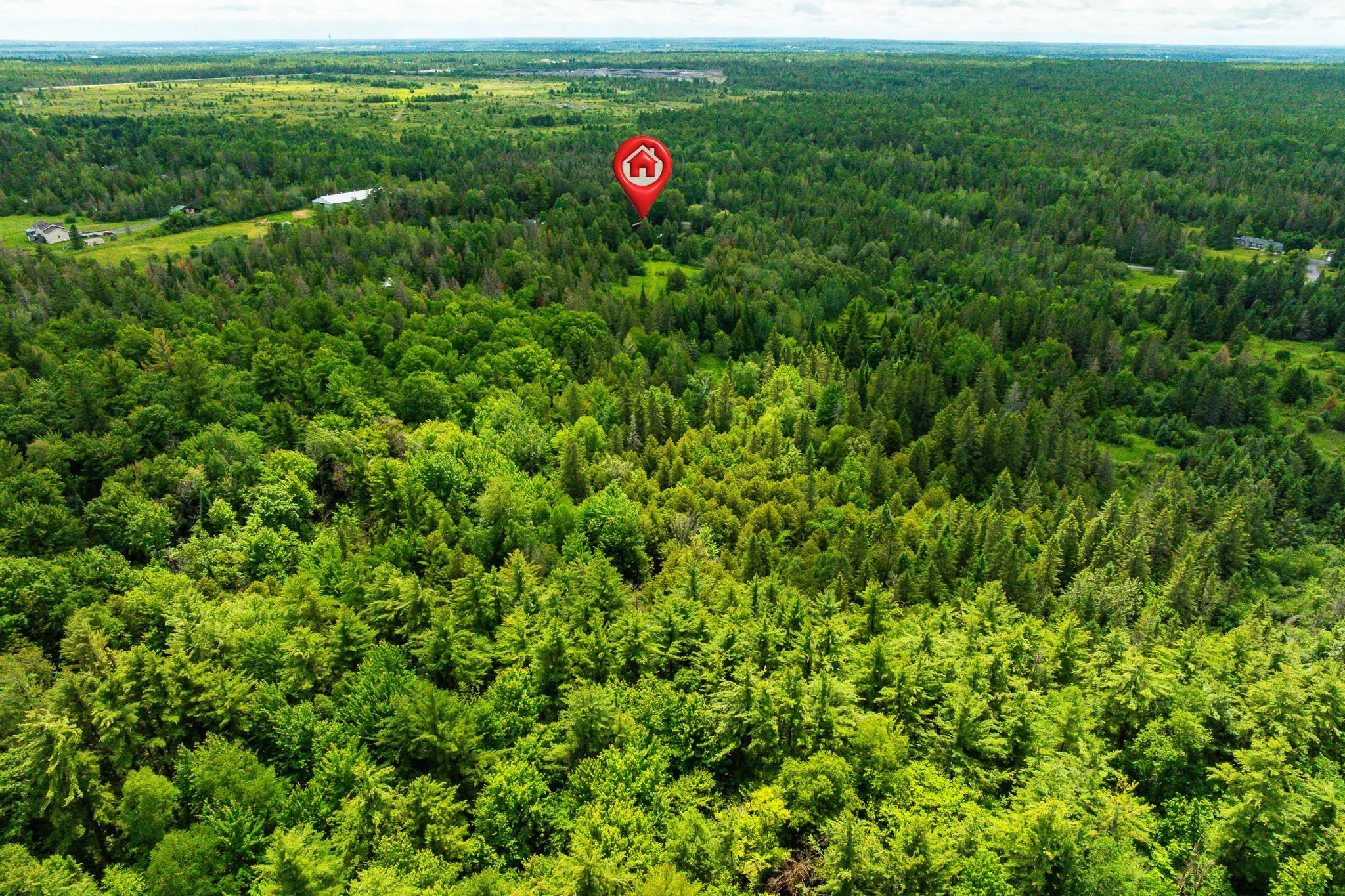 1828 Burnt Lands_0092.jpg
