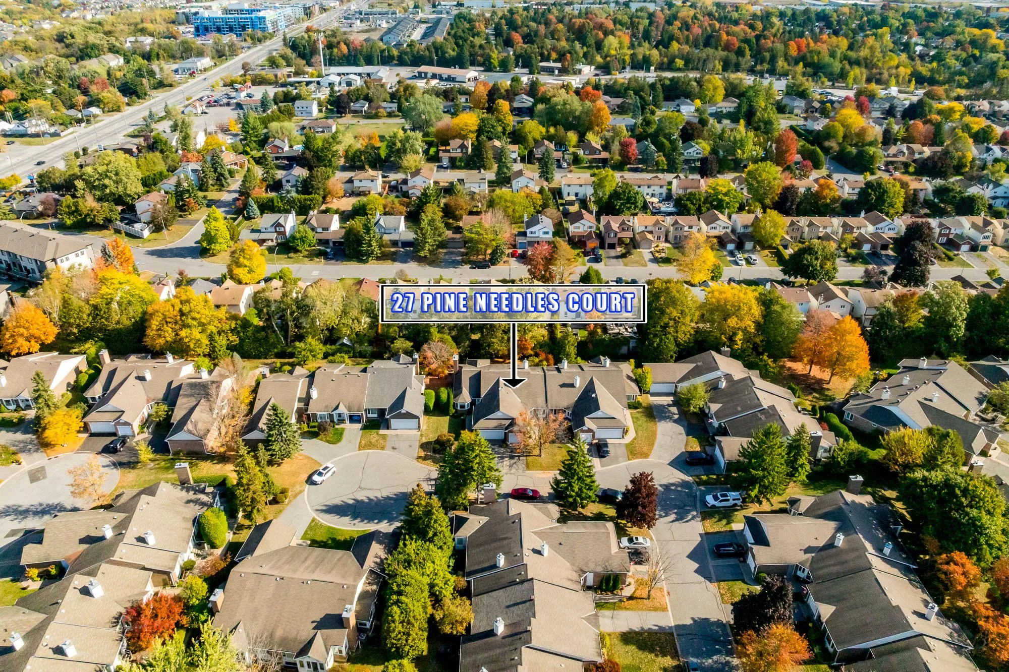 27 Pine Needles_002.jpg