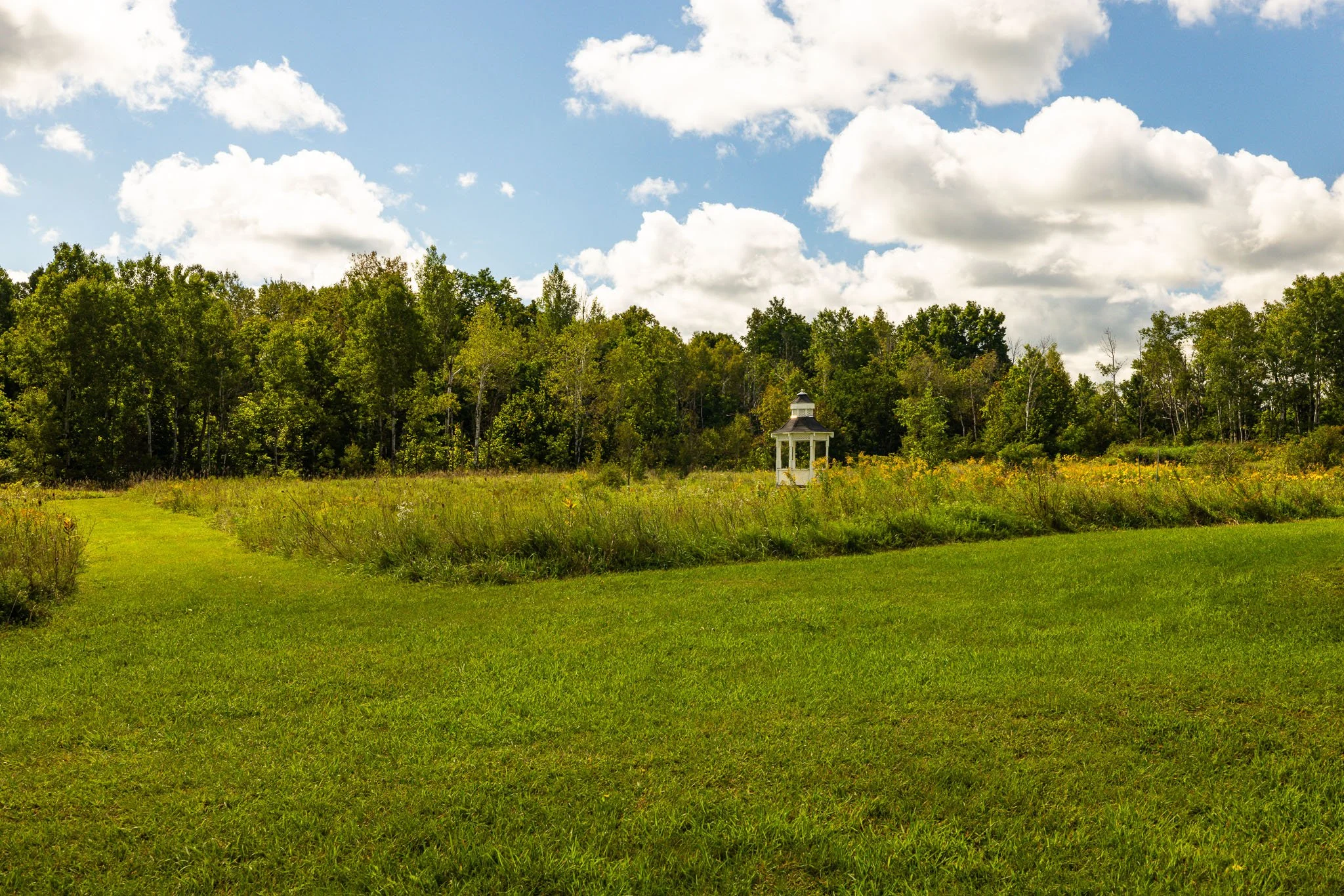 61 Balmoral_0084.jpg