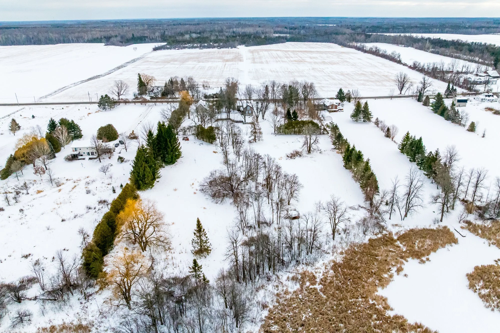 3651 Burritts Rapids_Update_022.jpg