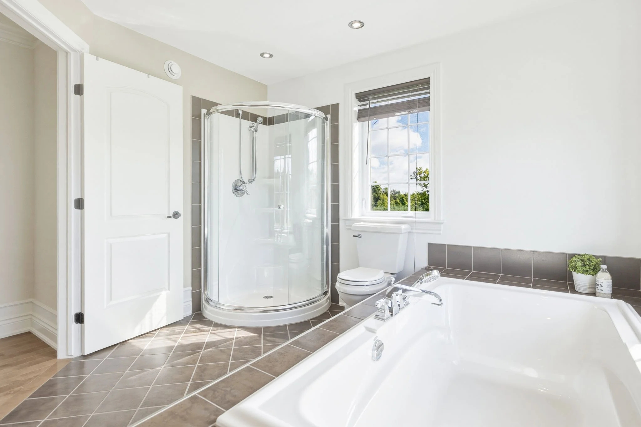 61 Balmoral_0056.jpg