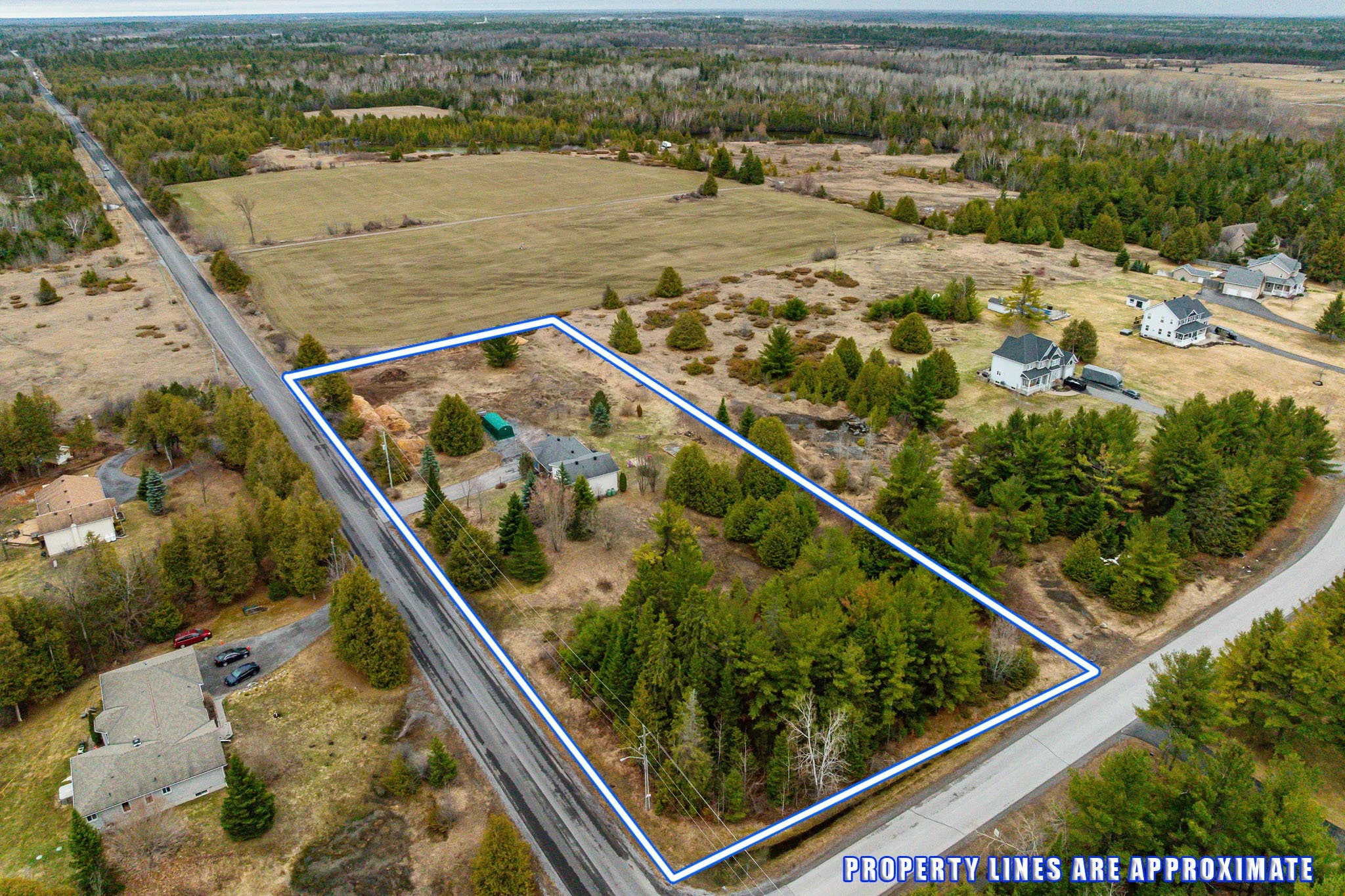 519 David Manchester_003.jpg