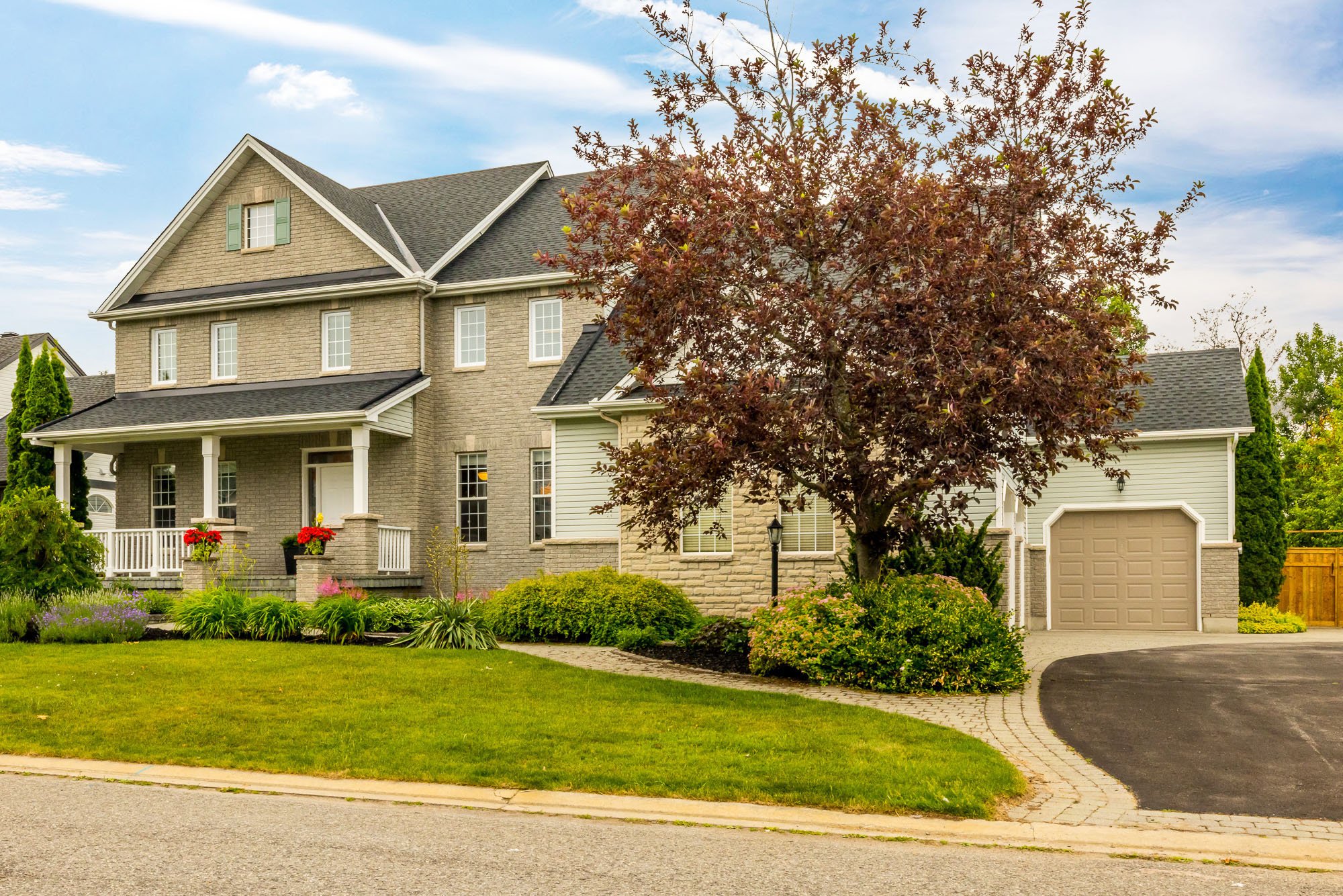 10 Beechgrove_008.jpg