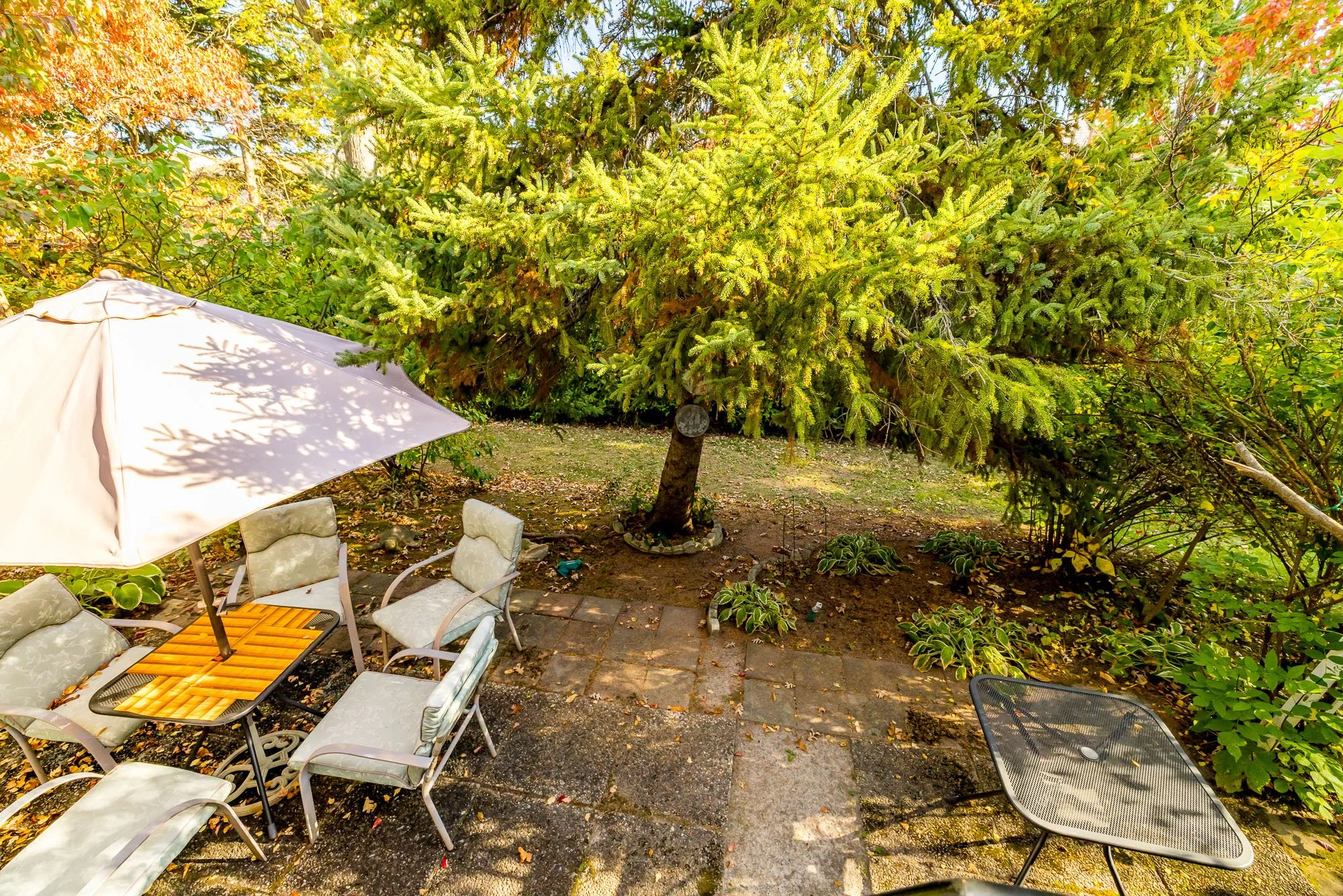 25 Pine Needles_060.jpg