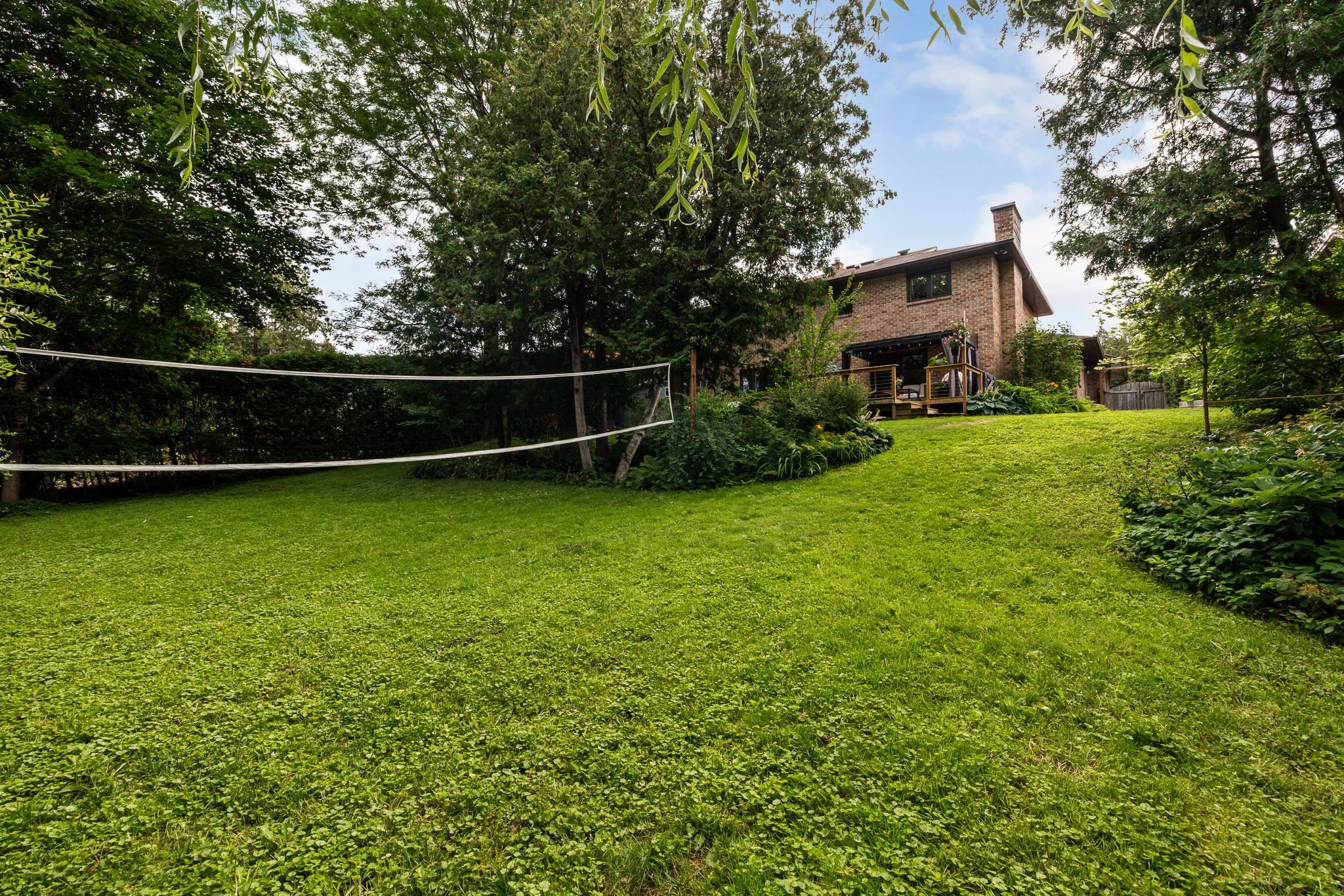 50 Hesse_0116.jpg