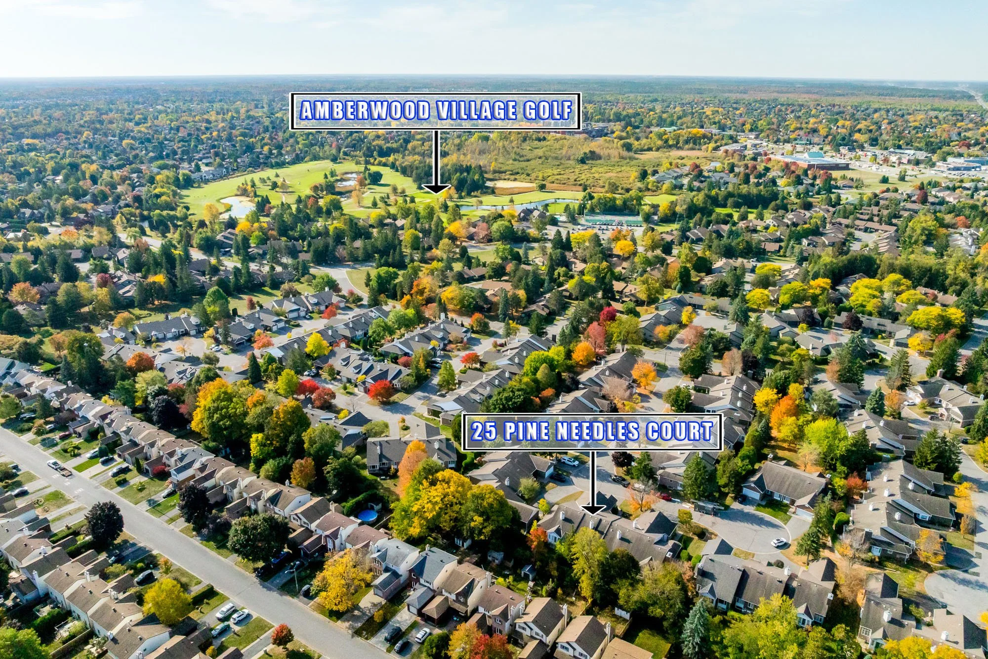 25 Pine Needles_061.jpg