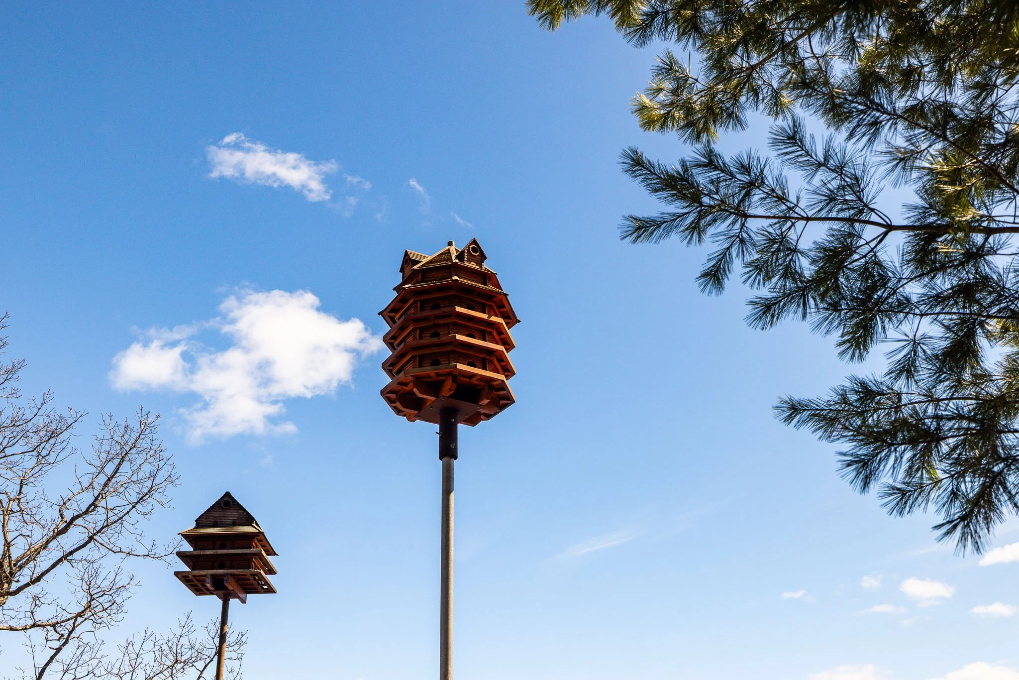 605 Big Rideau_078.jpg