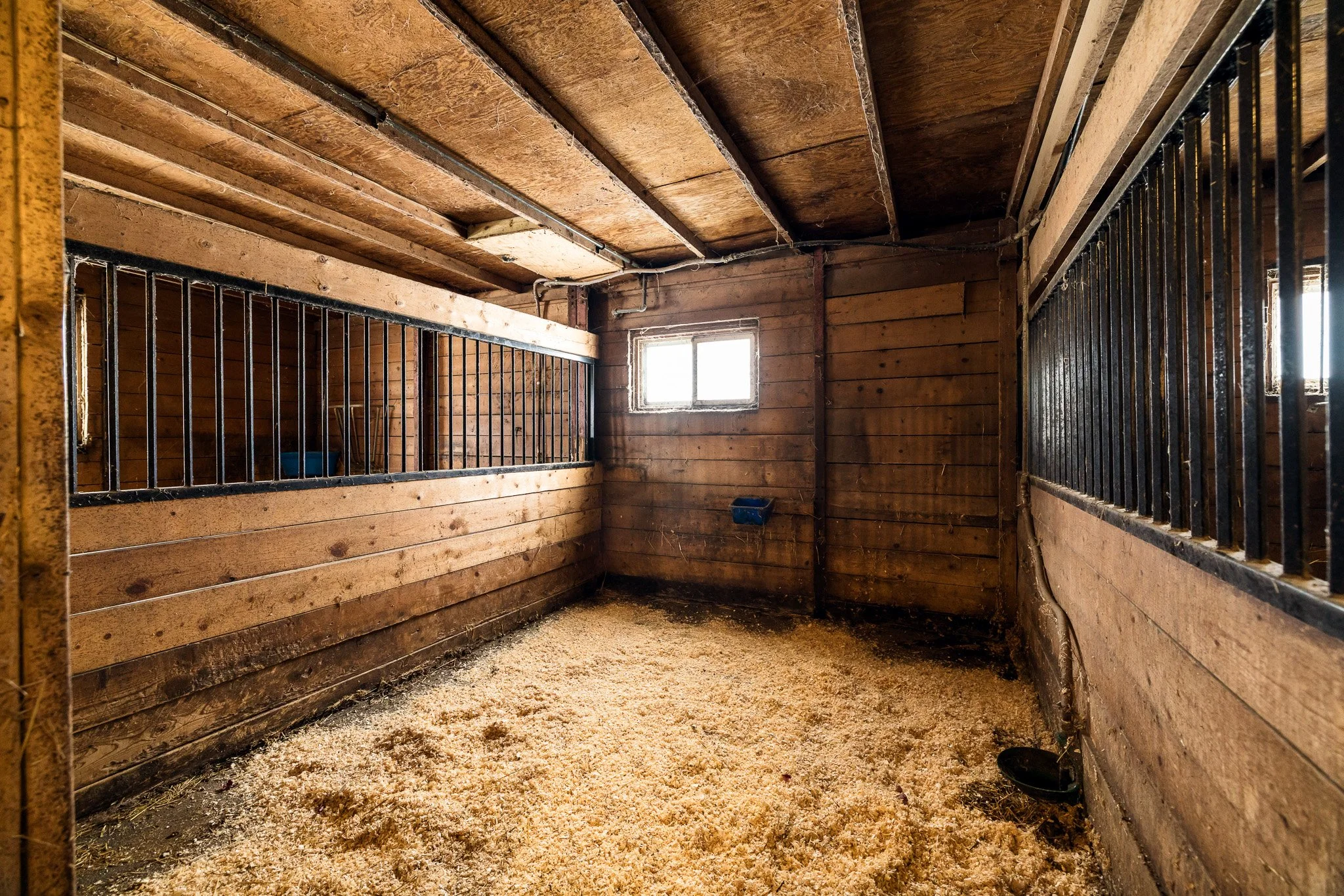 4620 Appleton Side Rd_071.jpg