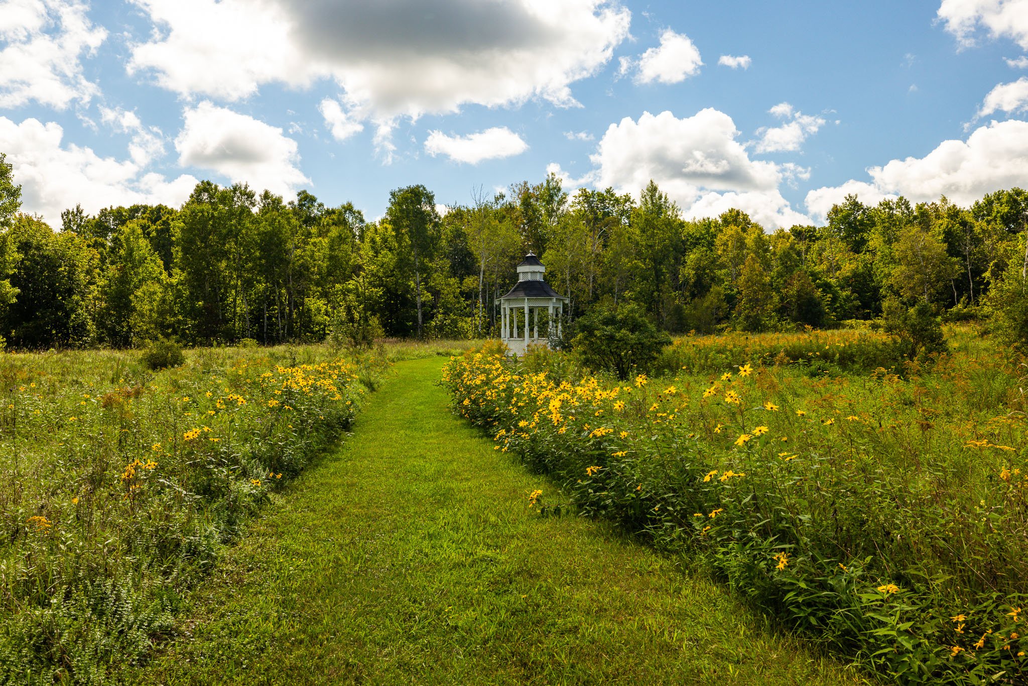 61 Balmoral_0085.jpg