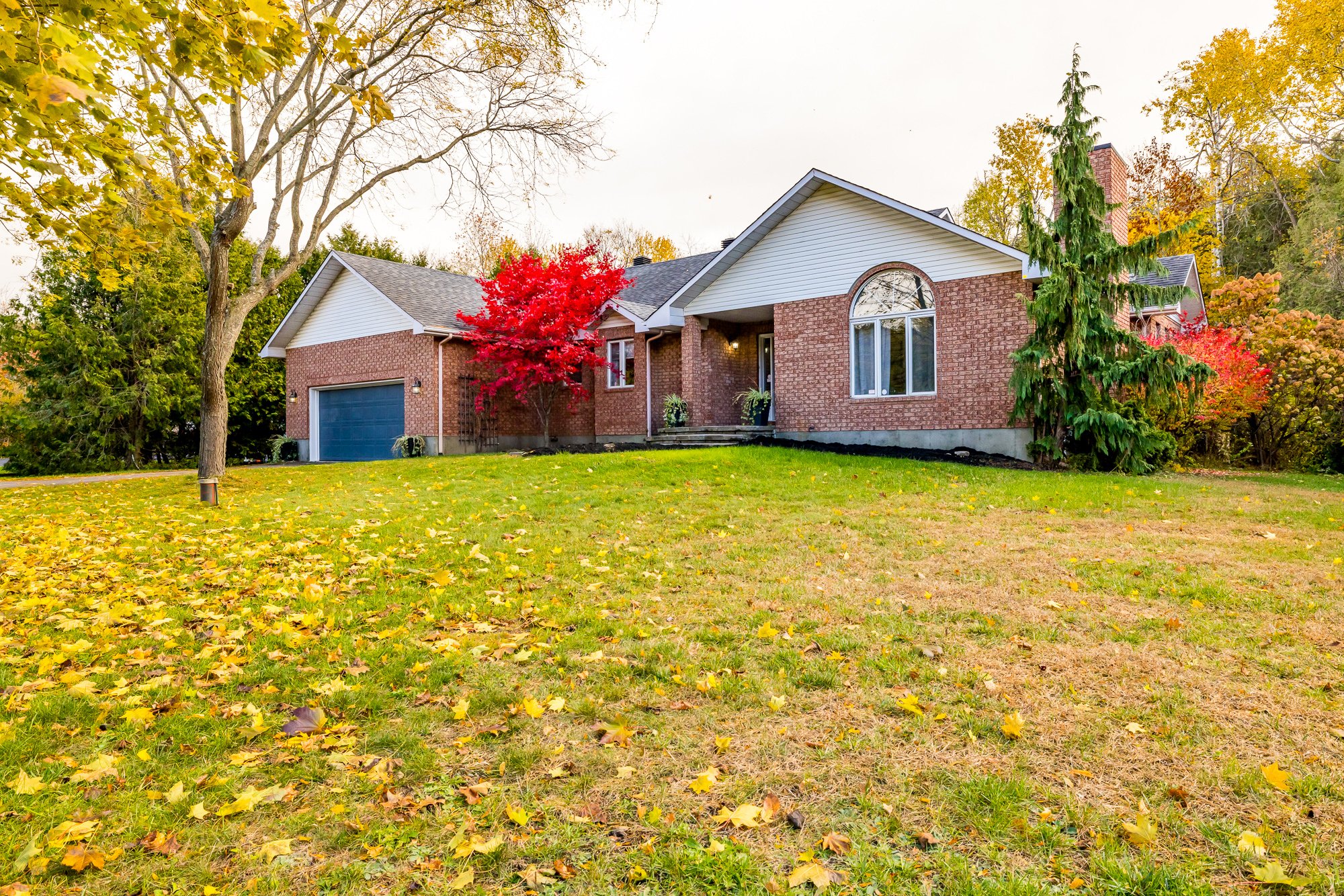 6492 Waddion_008.jpg