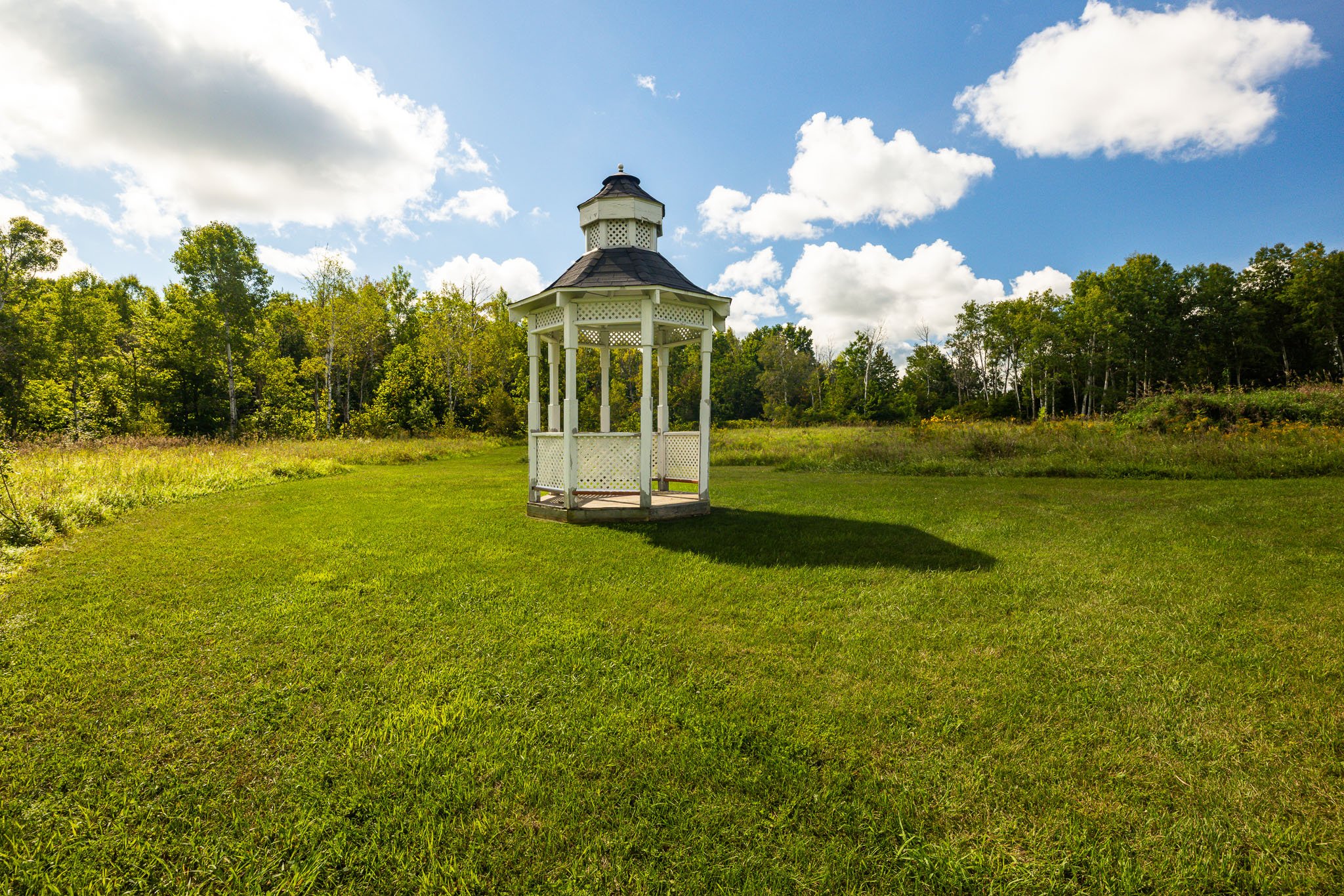 61 Balmoral_0086.jpg
