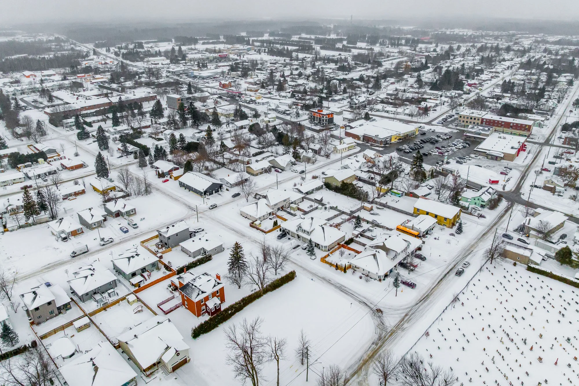 294 Dumbrille_014.jpg