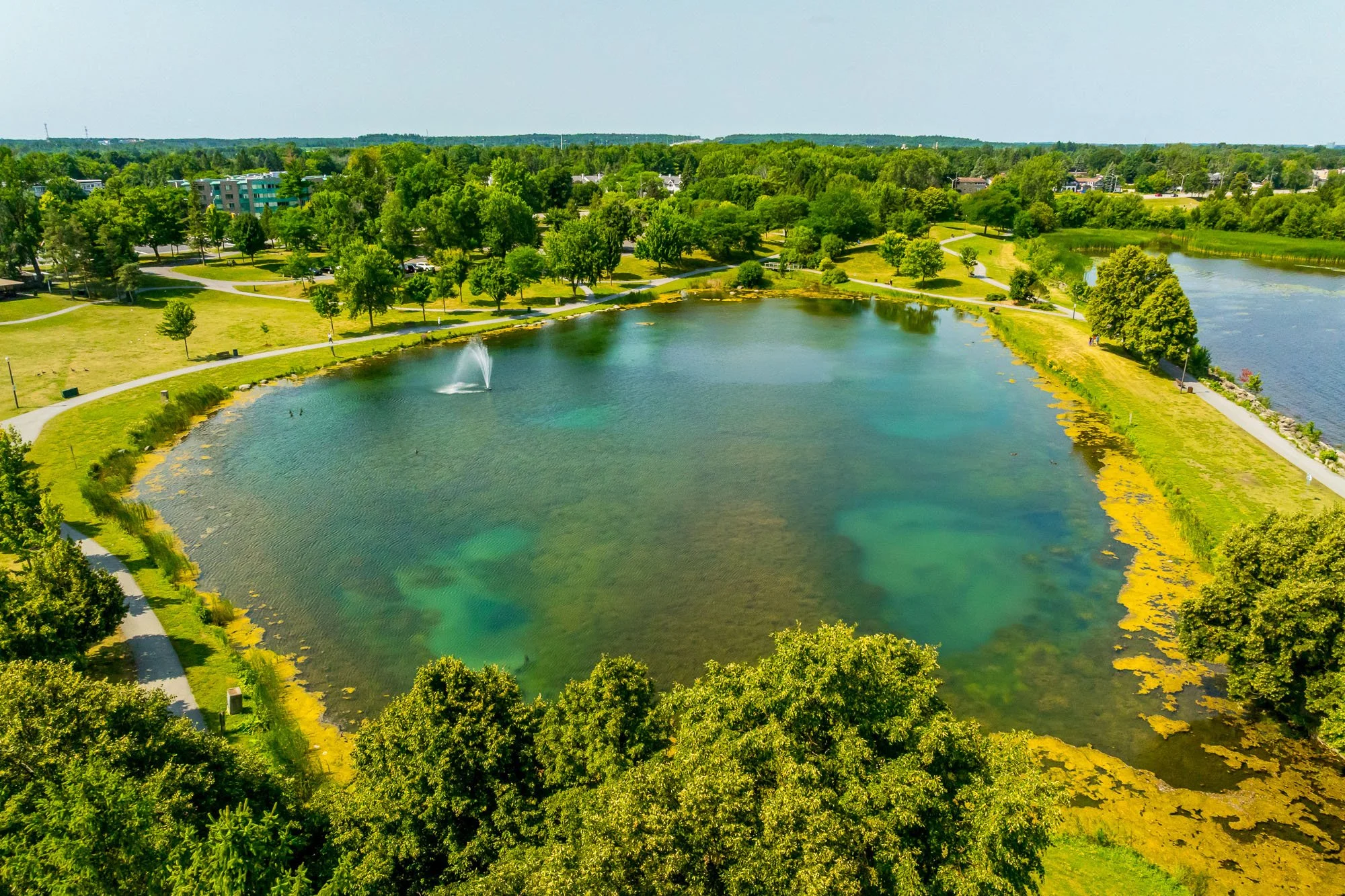 12 Corkstown 224_039.jpg