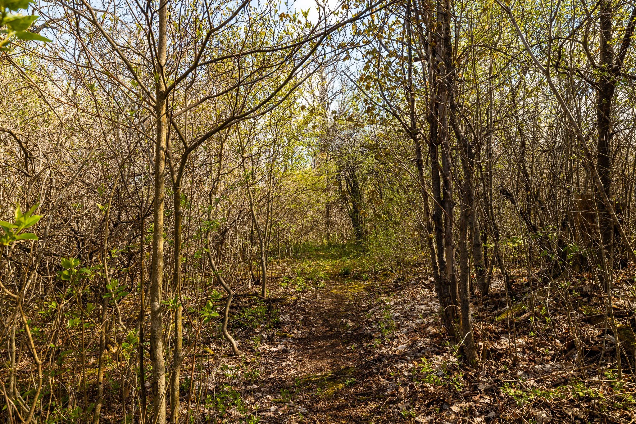 167 Gardiner_069.jpg