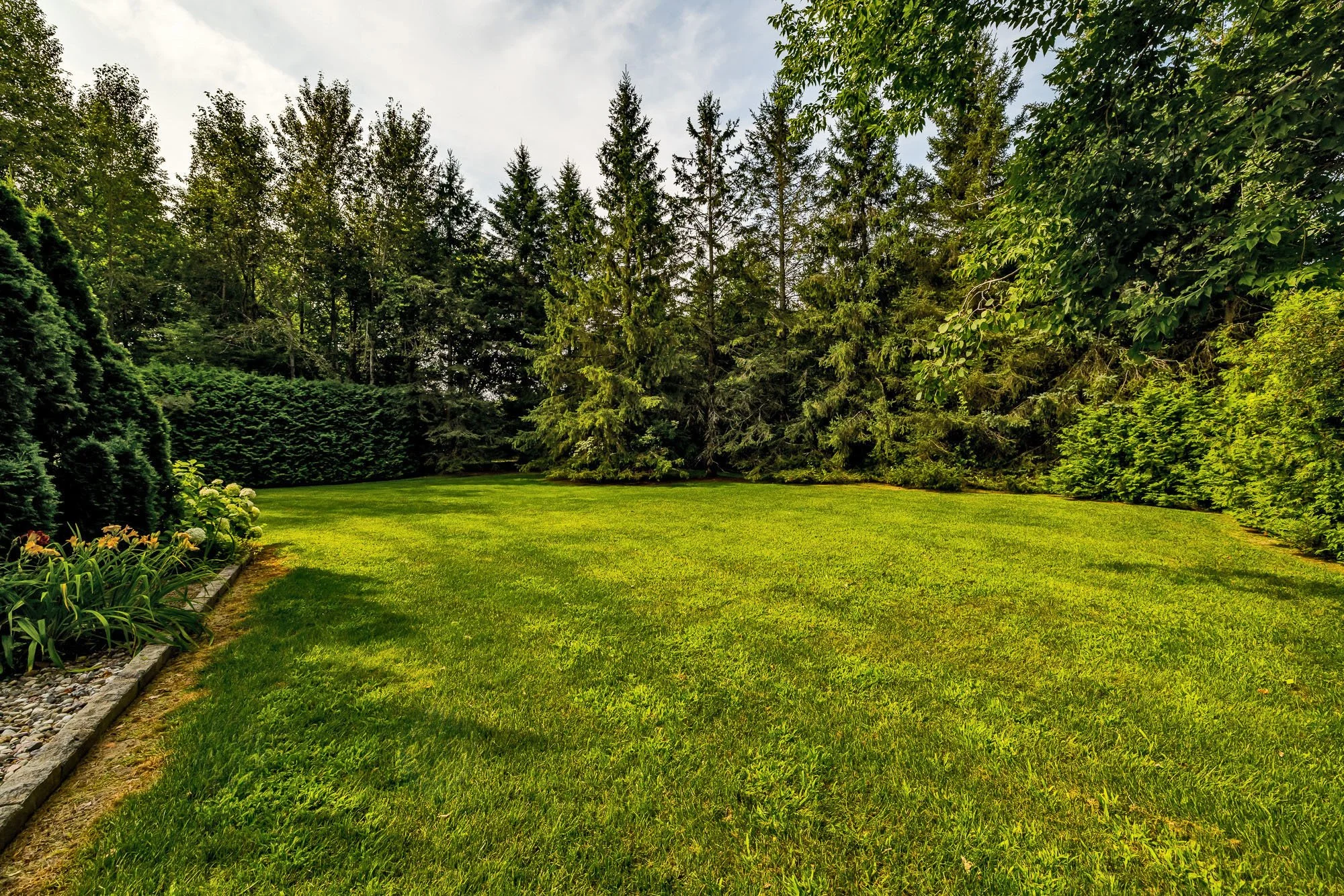 6196 Deermeadow_099.jpg