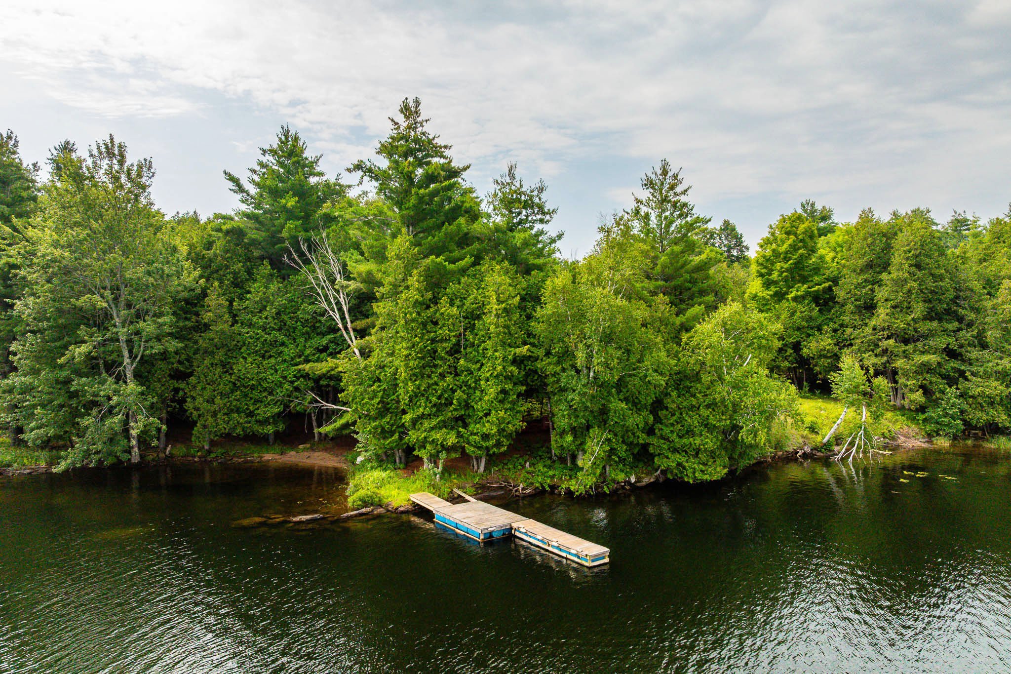 688 Dewitt_0075.jpg