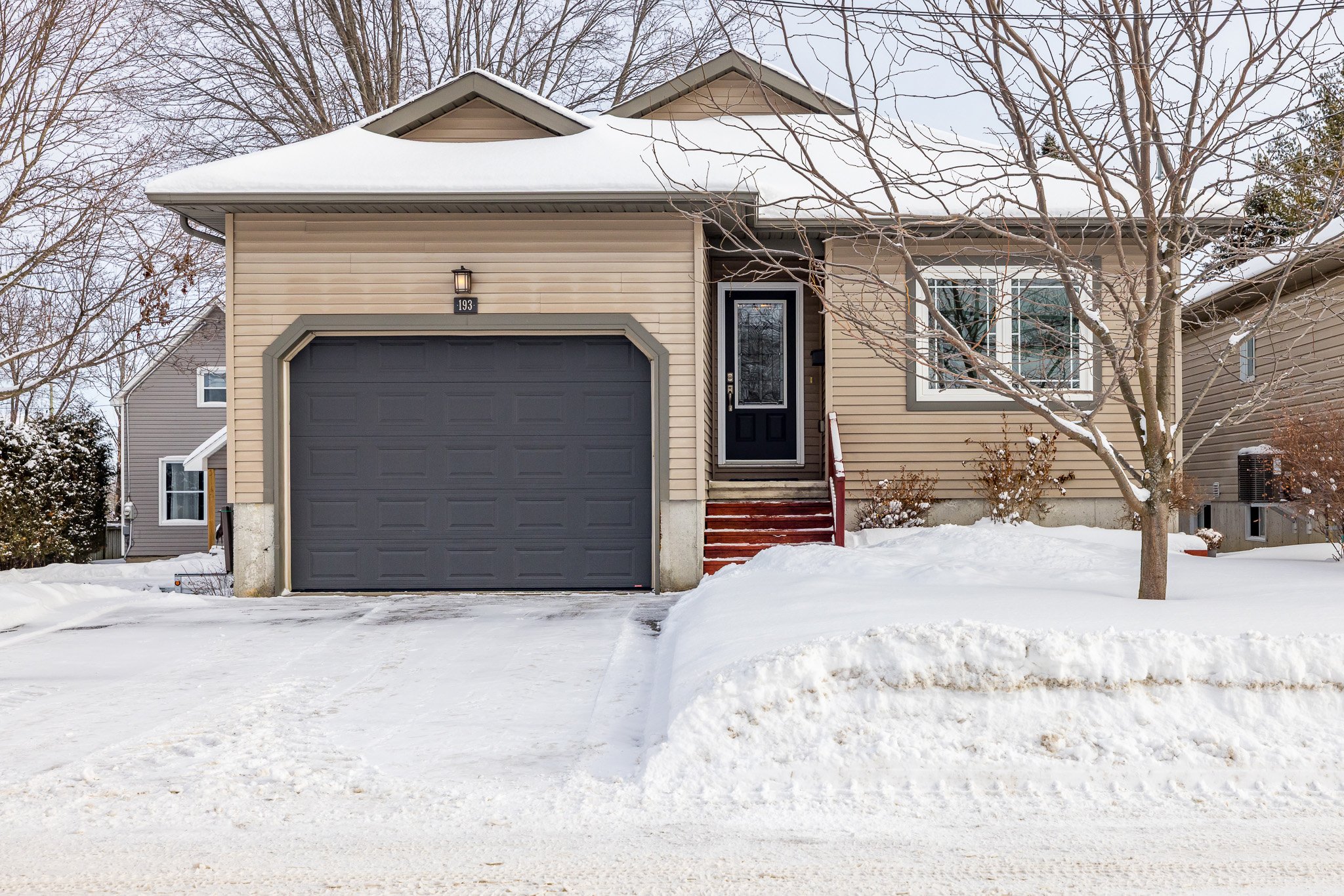 193 Napoleon_001.jpg