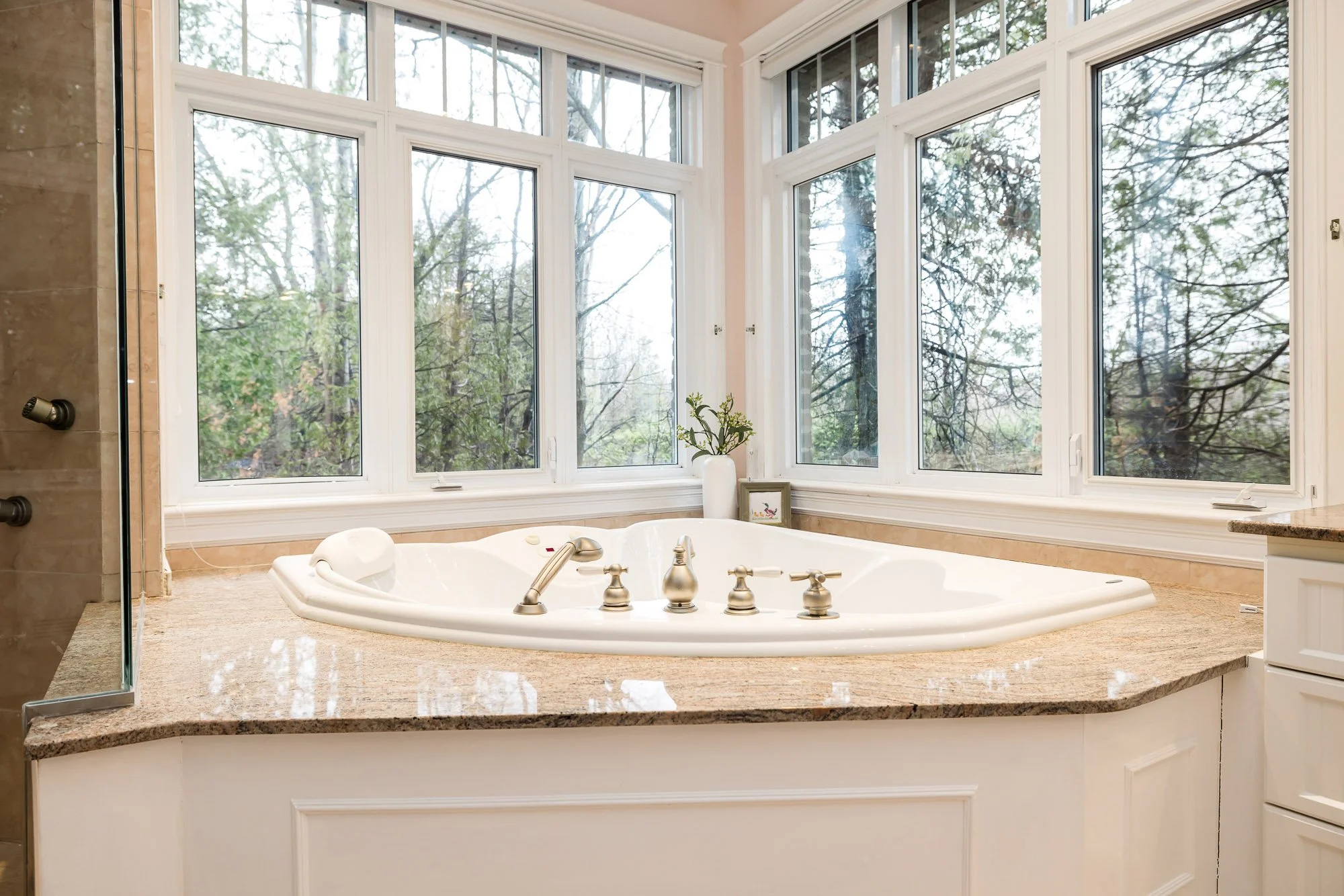 6196 Deermeadow_057.jpg