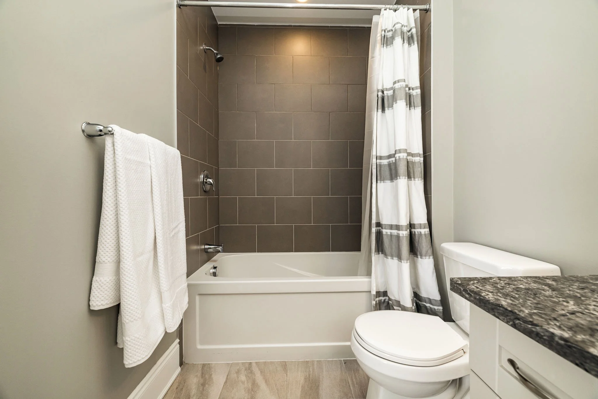 199 Bartonia_061.jpg