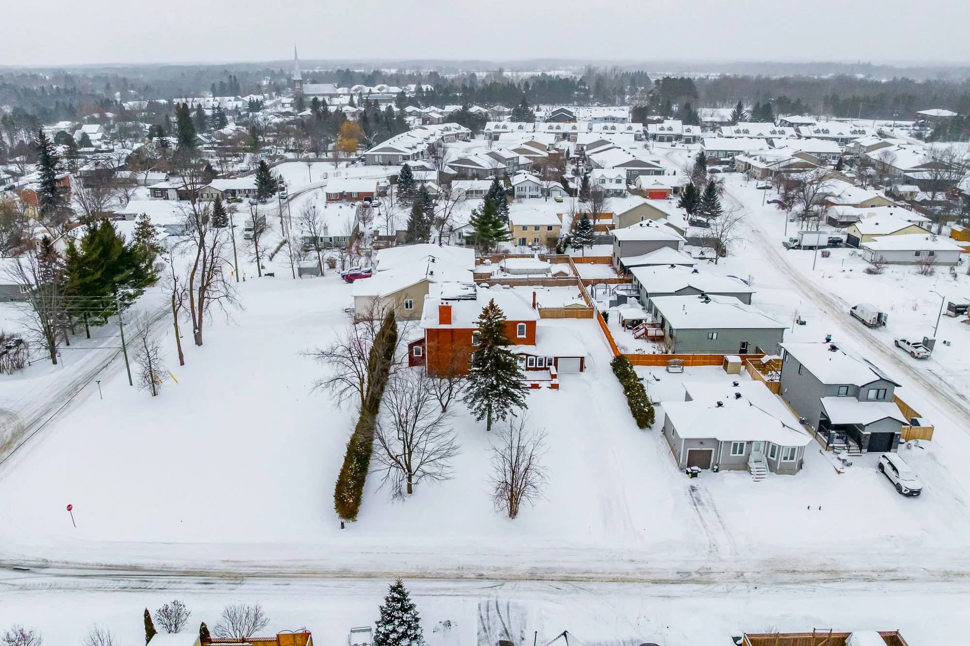 294 Dumbrille_005.jpg