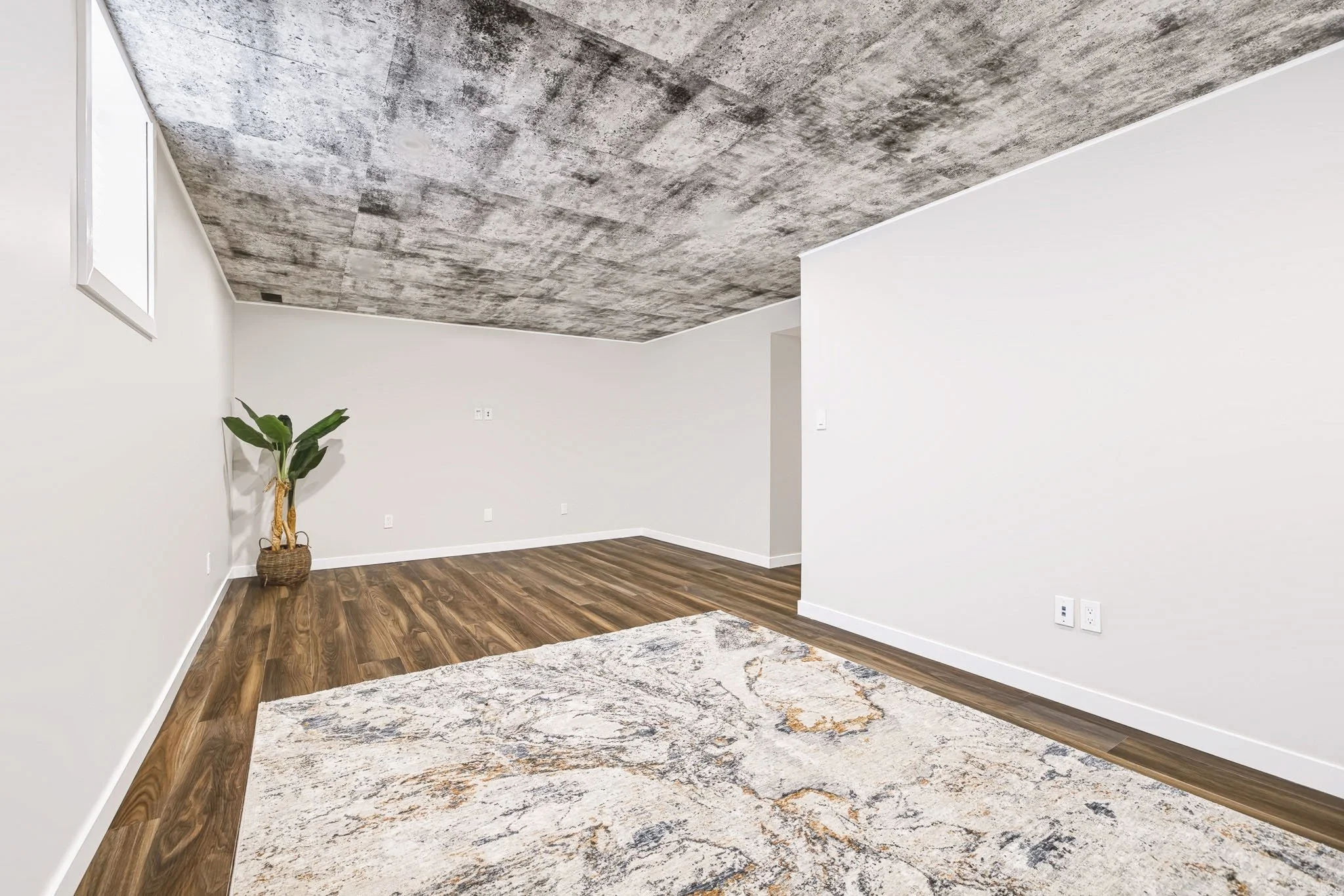 106 Santolina_0039.jpg