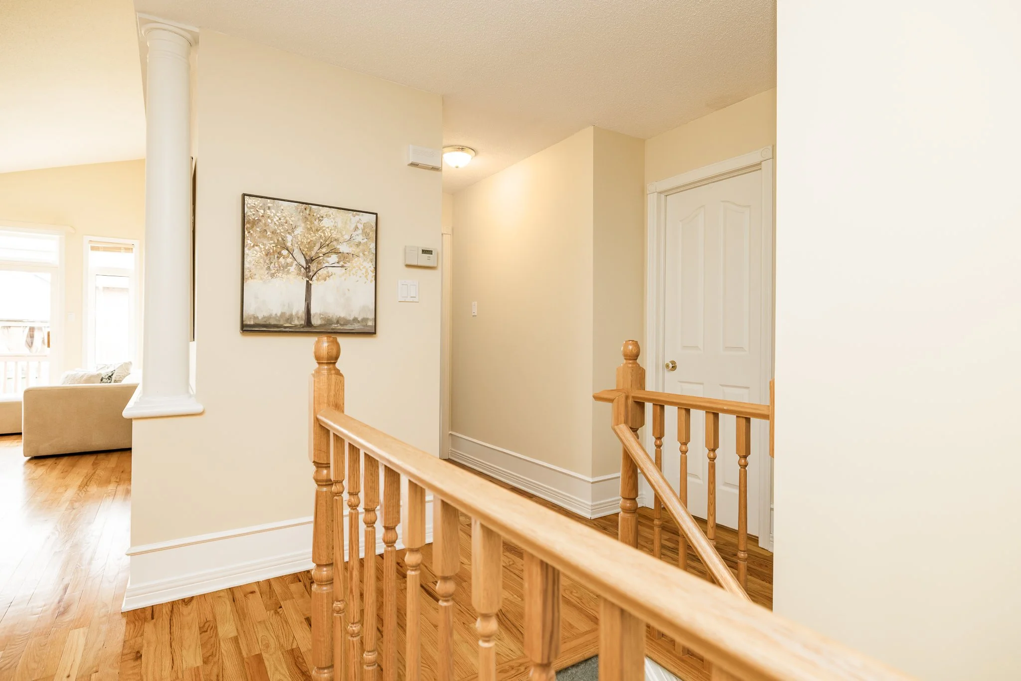 859 Giant Cedar_029.jpg