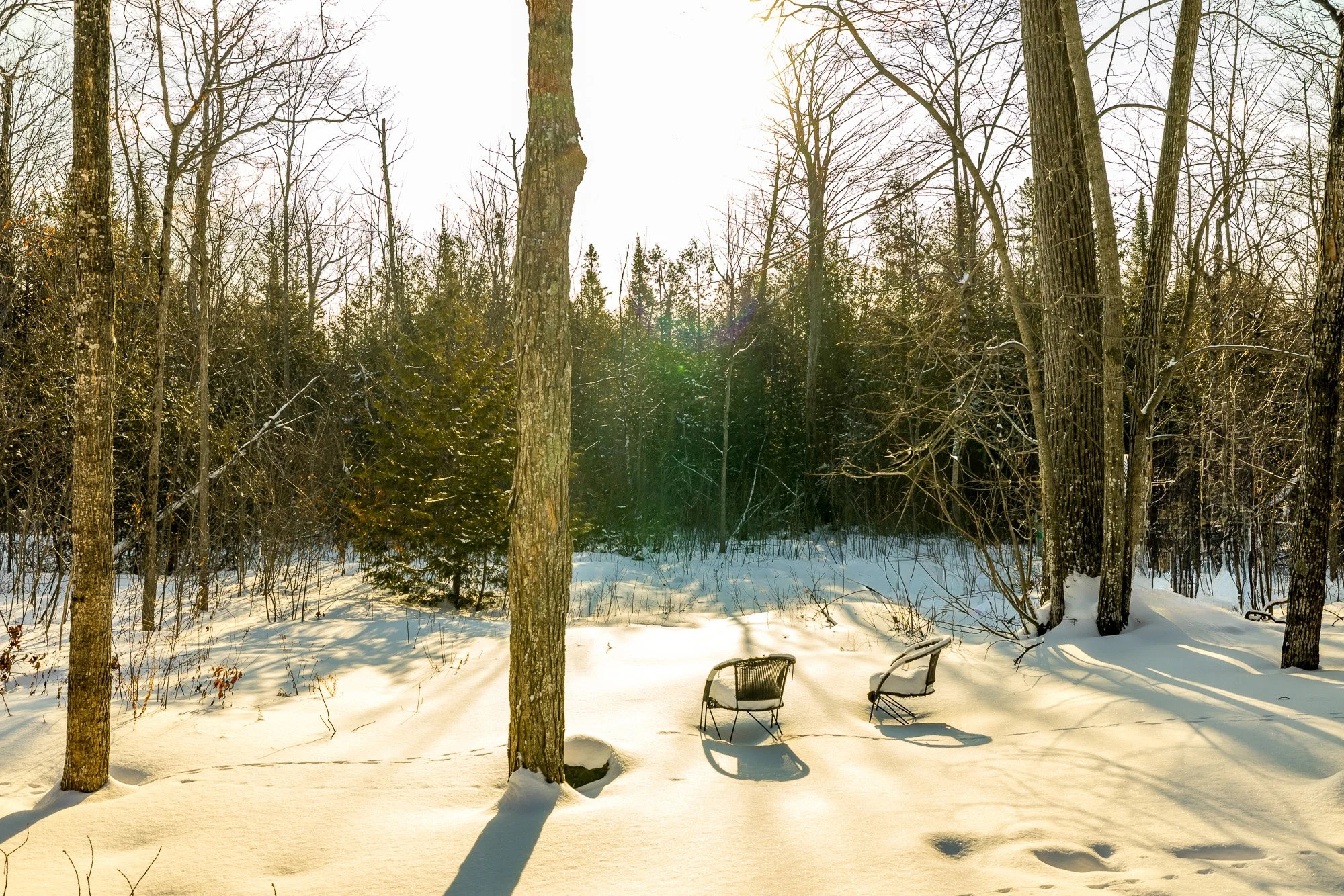 6779 Rogers Stevens _Update_024.jpg