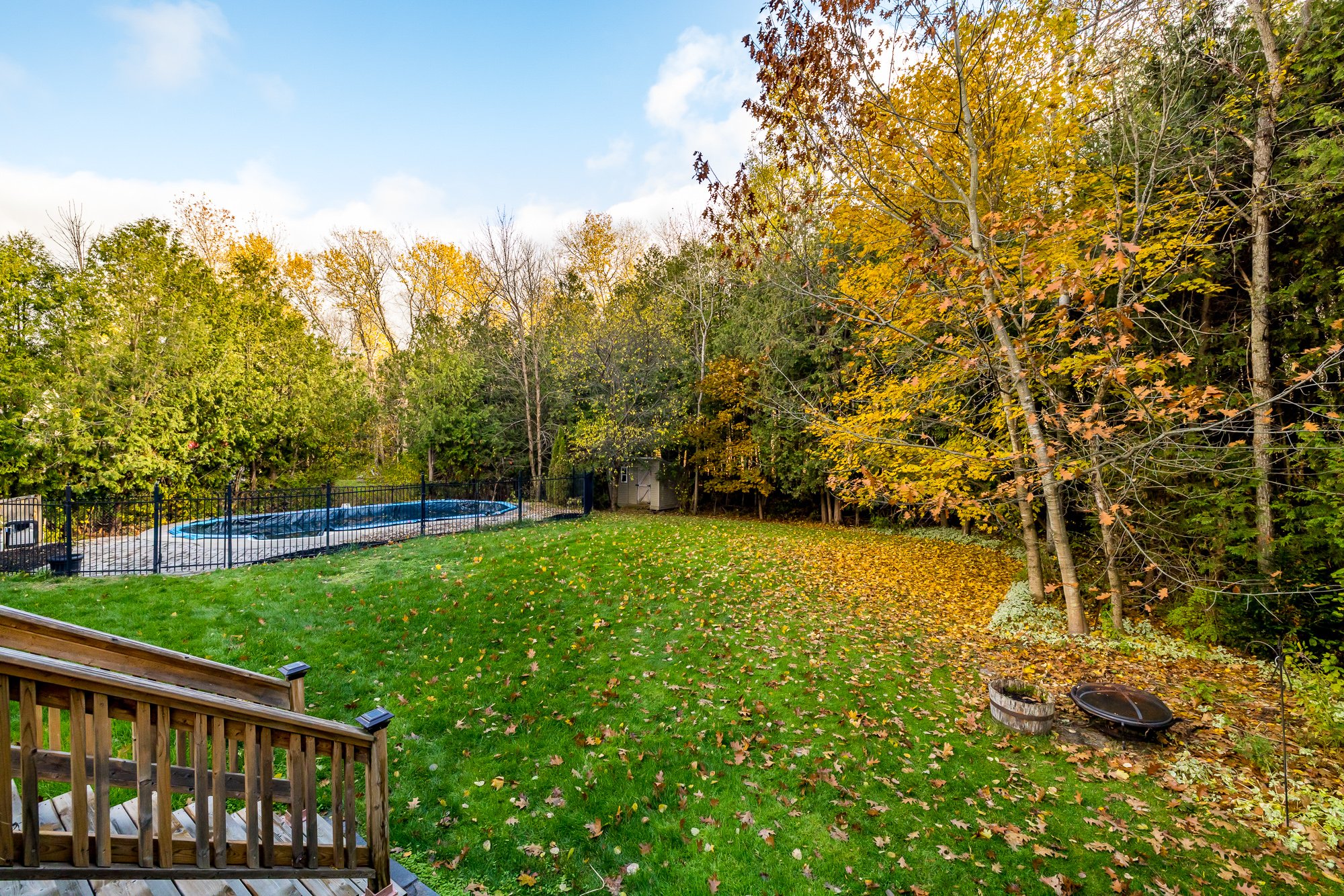 6492 Waddion_077.jpg