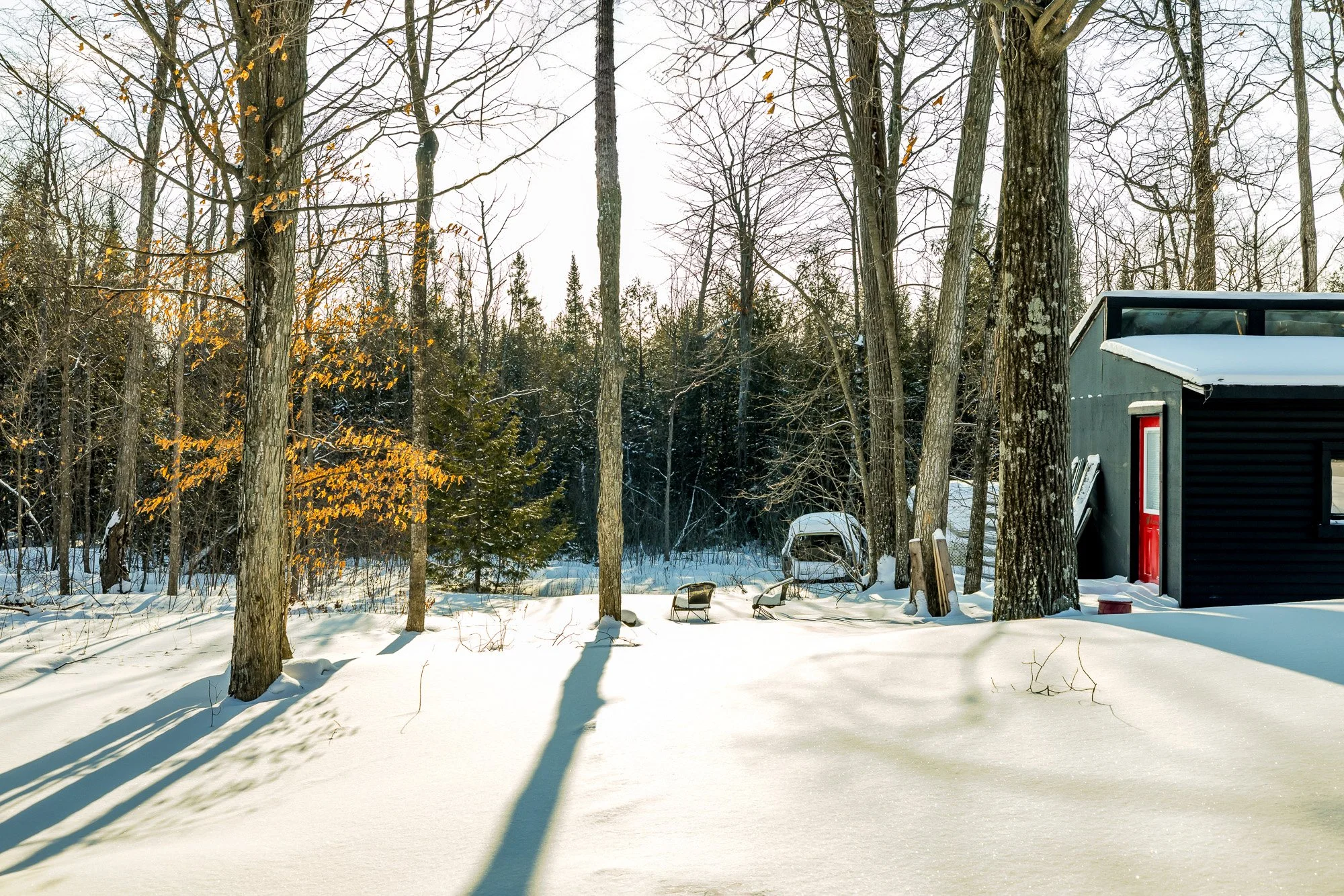 6779 Rogers Stevens _Update_022.jpg