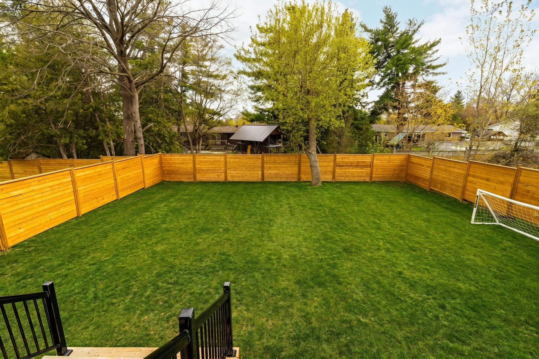 11a Carleton Cathcart_113grass.jpg