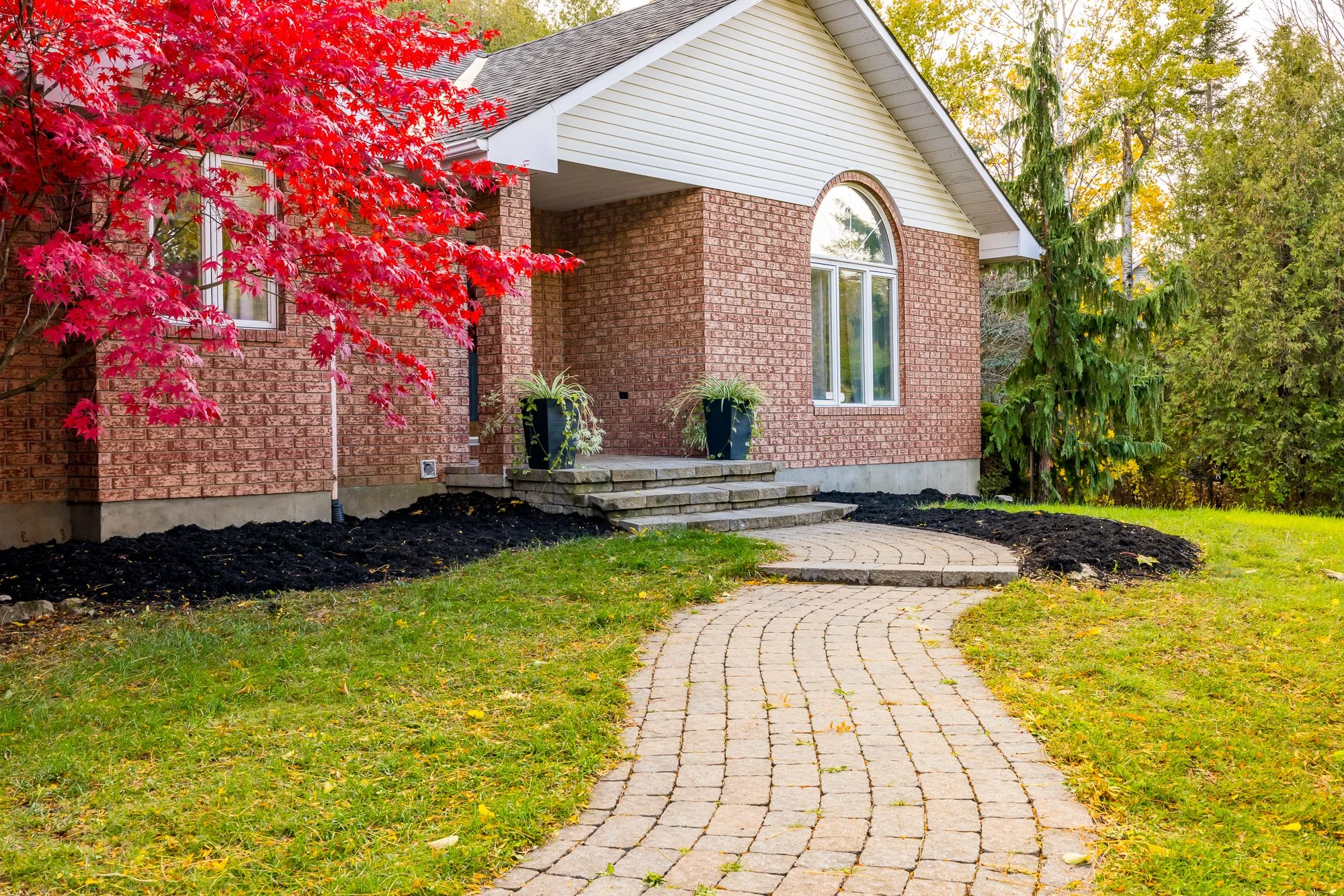 6492 Waddion_011.jpg