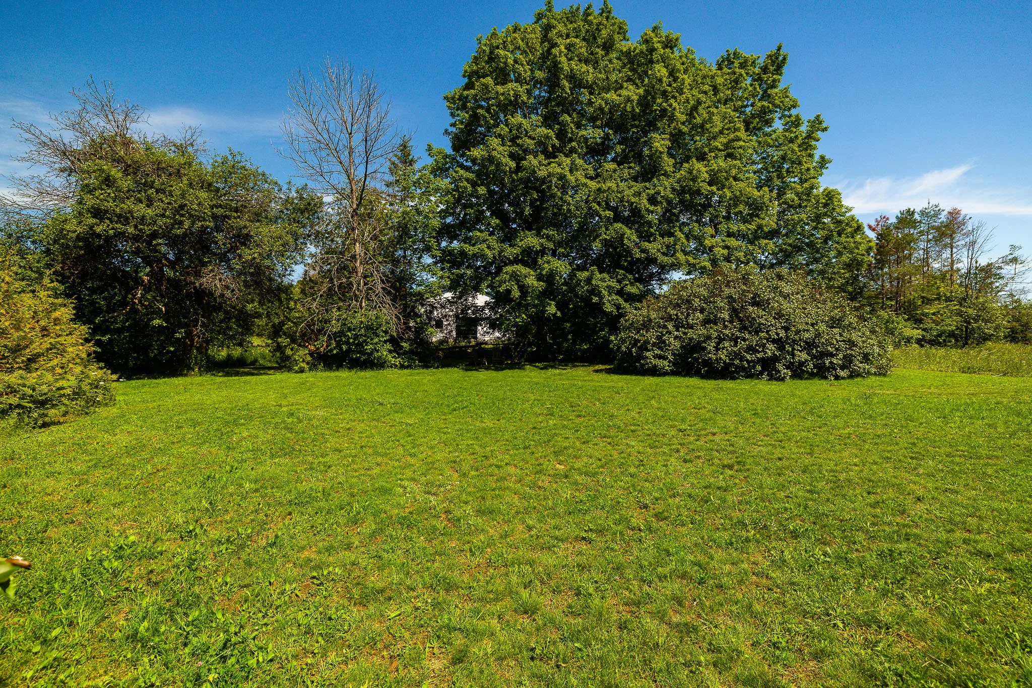 531 Craig Rd_0056.jpg