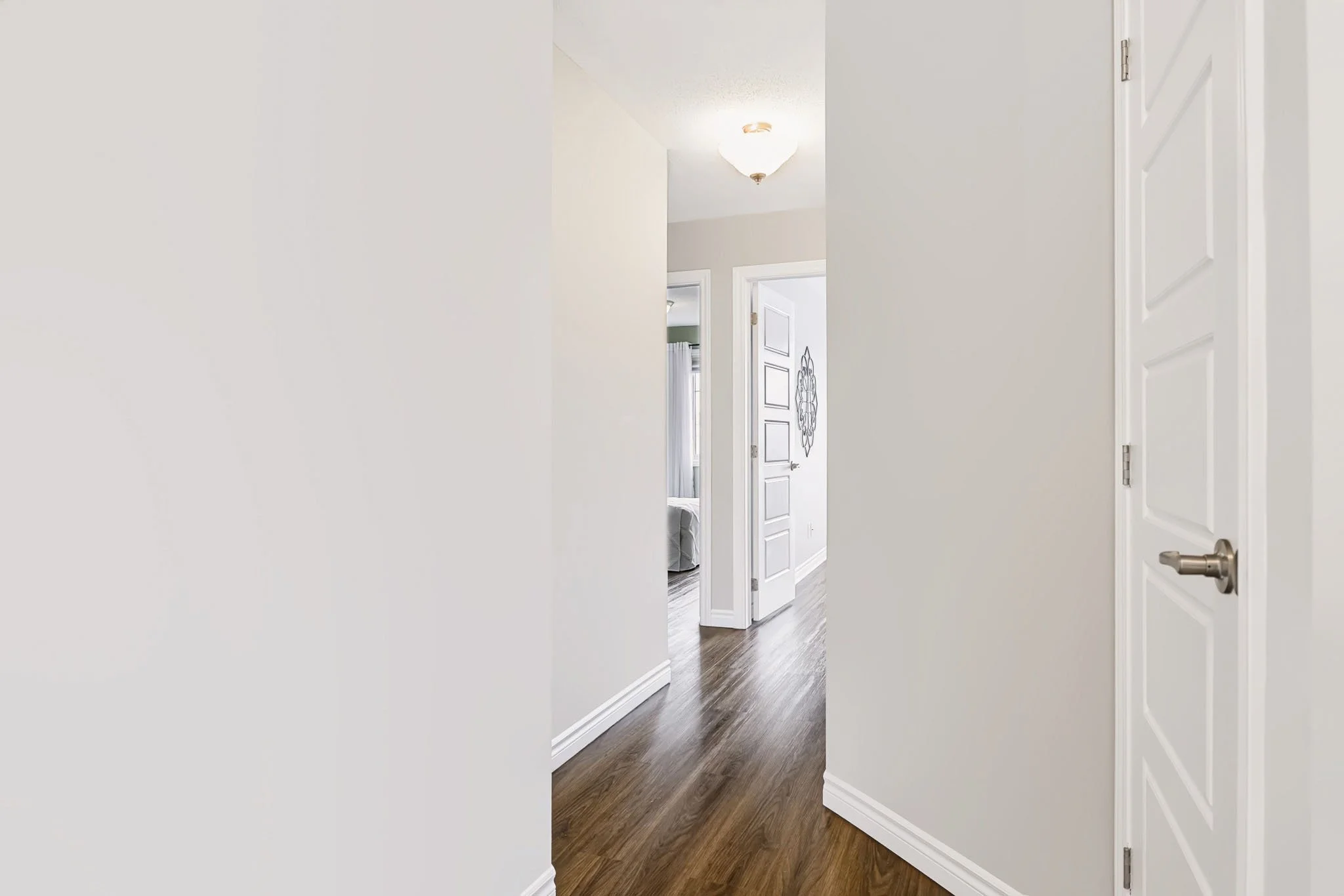 106 Santolina_0021.jpg