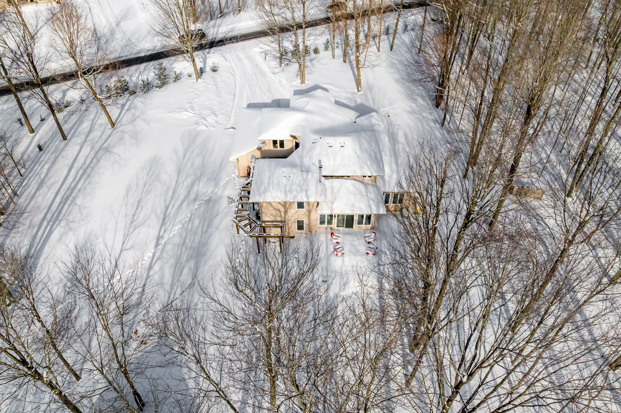 5830 Wood Duck_074.jpg