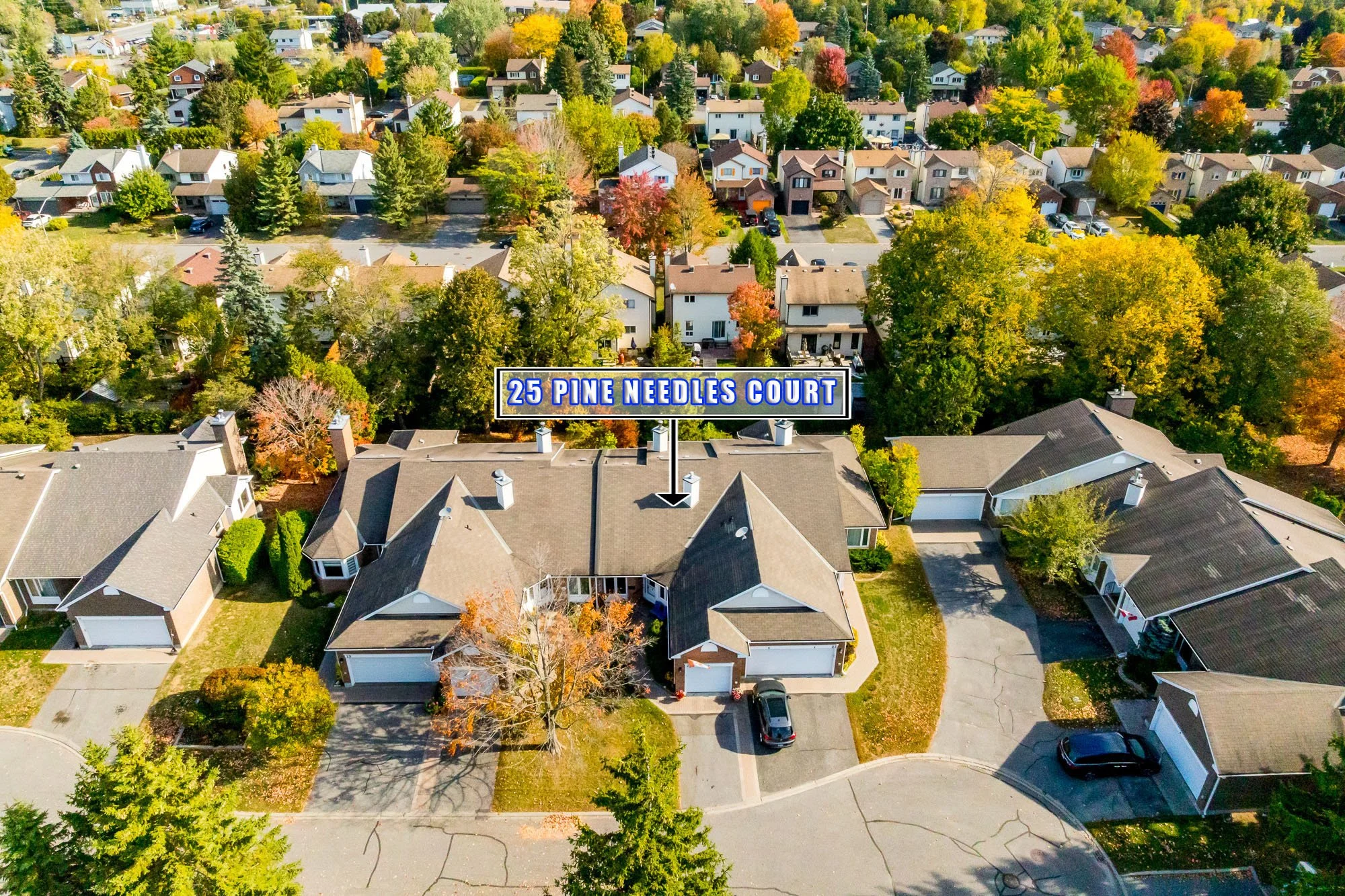 25 Pine Needles_004.jpg