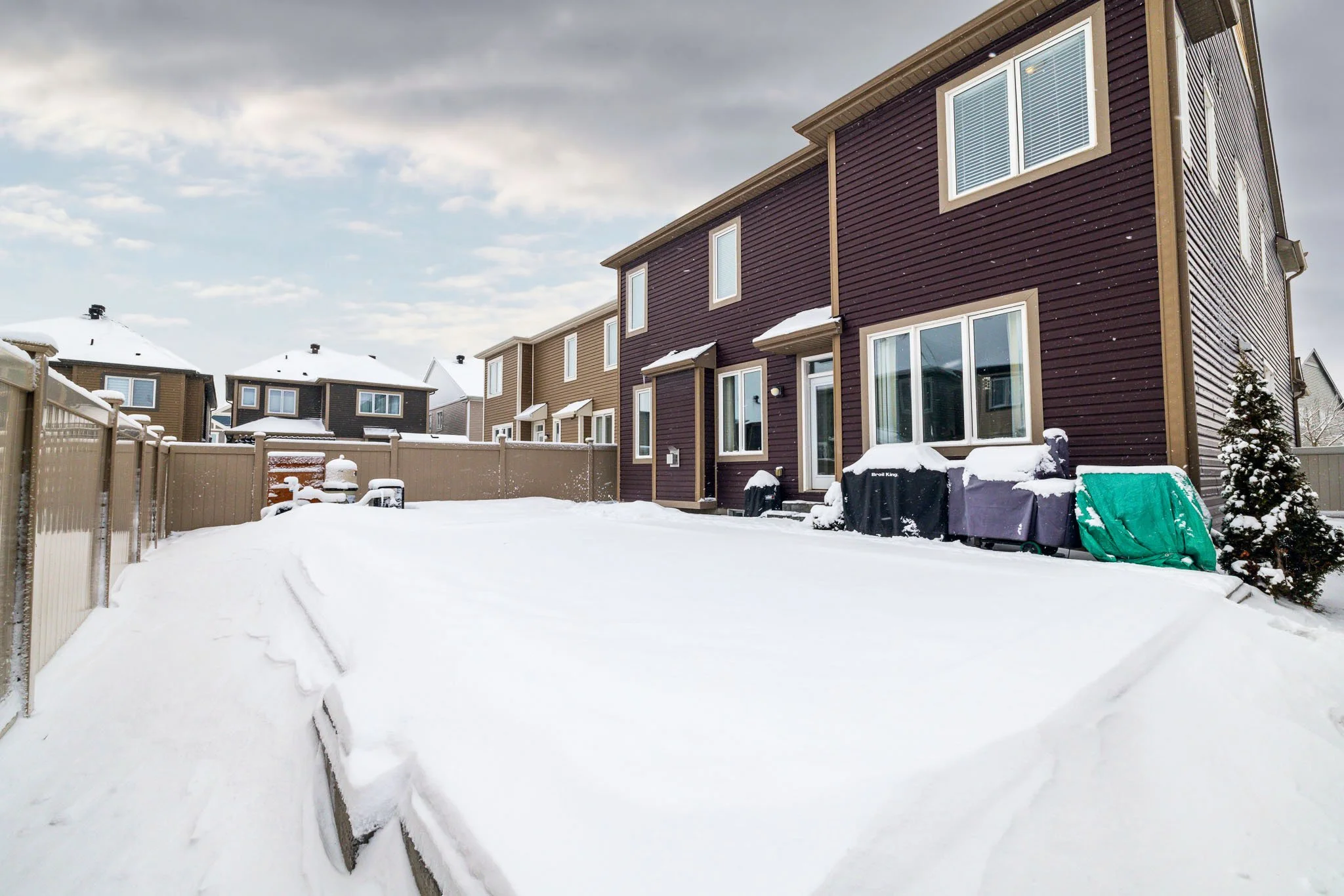 199 Bartonia_083.jpg