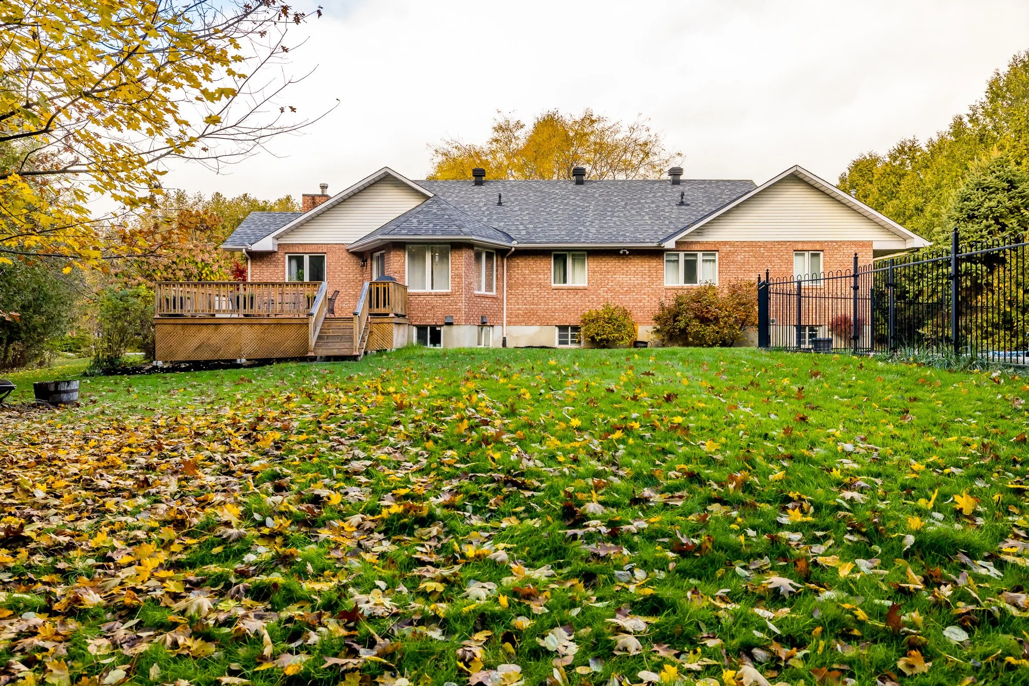 6492 Waddion_071.jpg