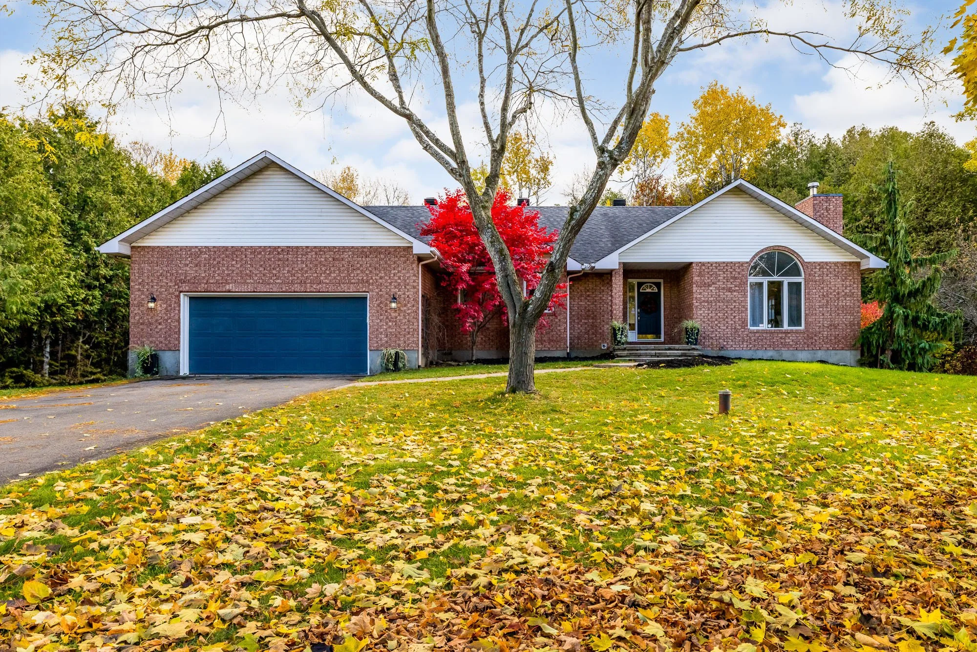 6492 Waddion_002.jpg