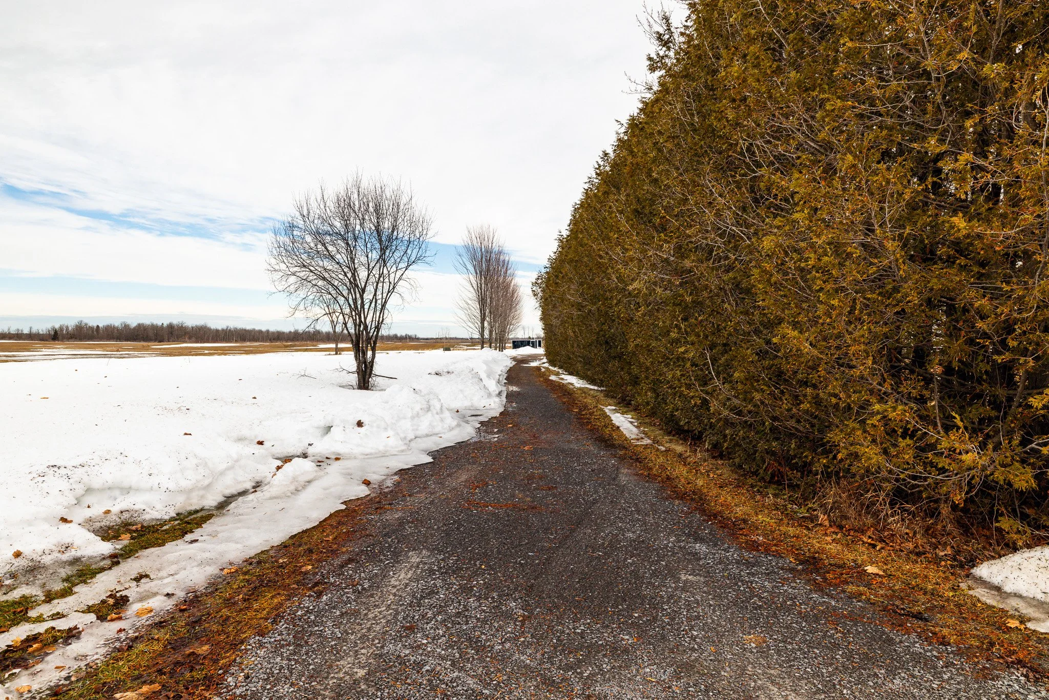 4620 Appleton Side Rd_065.jpg