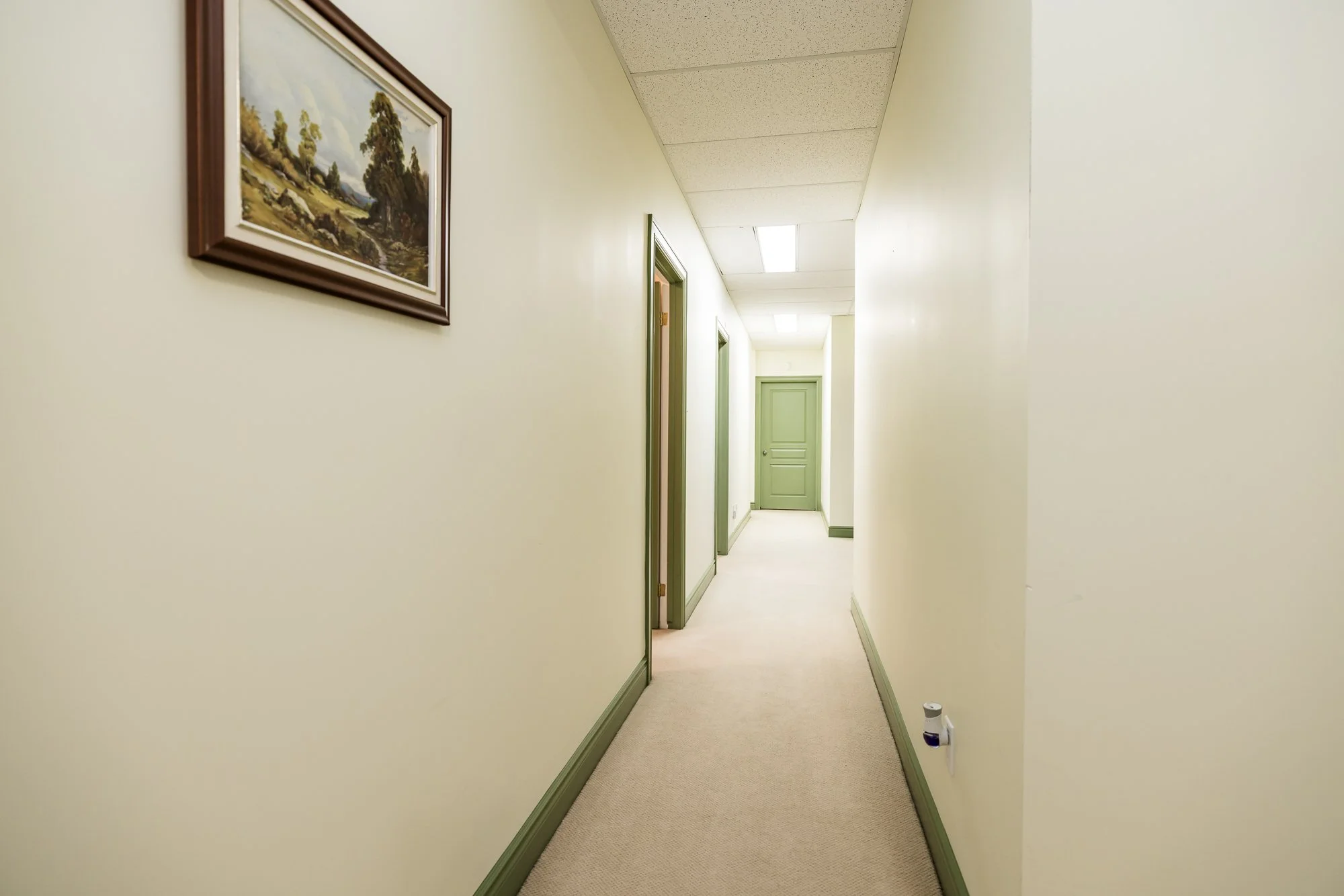 6196 Deermeadow_074.jpg