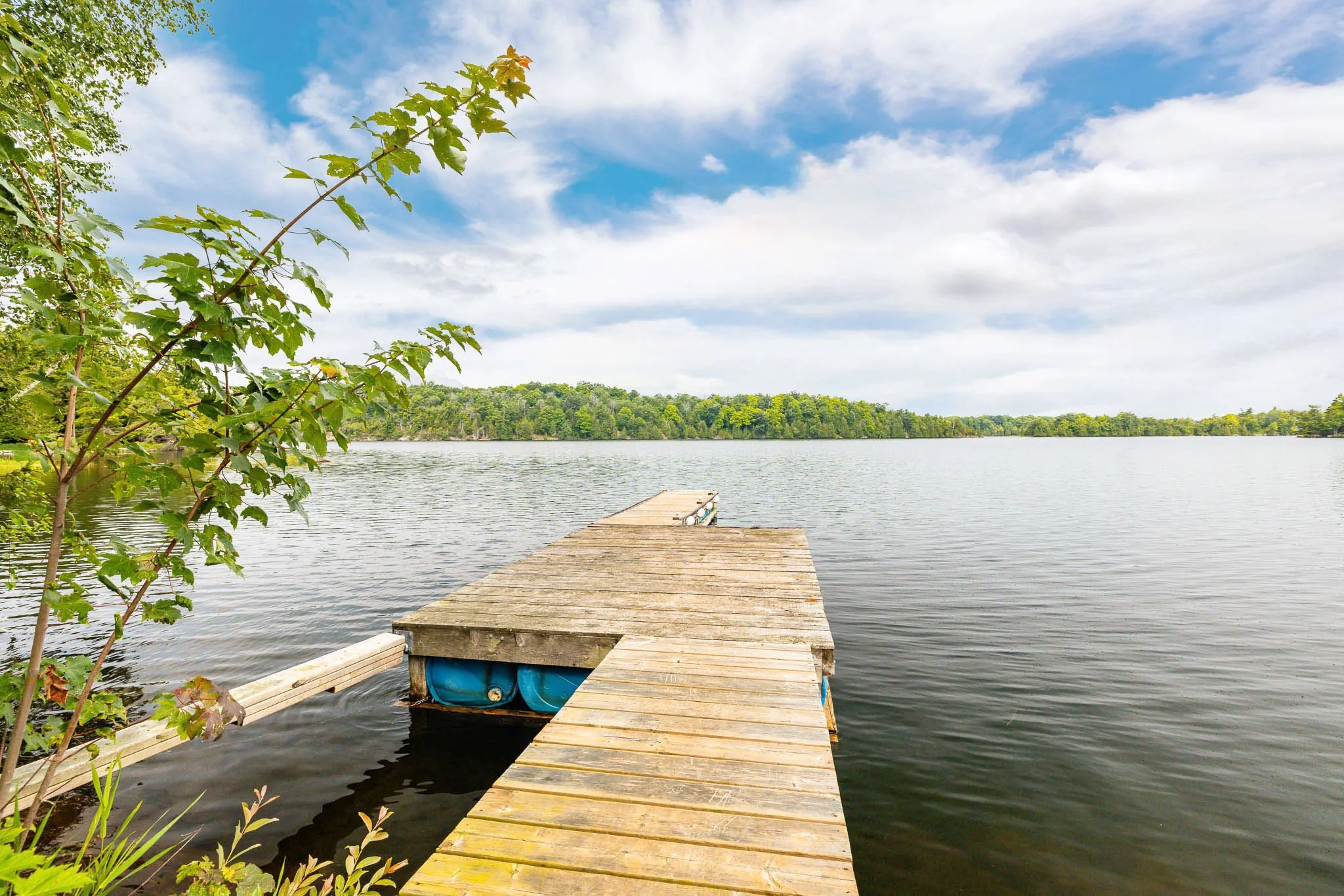 688 Dewitt_0072.jpg