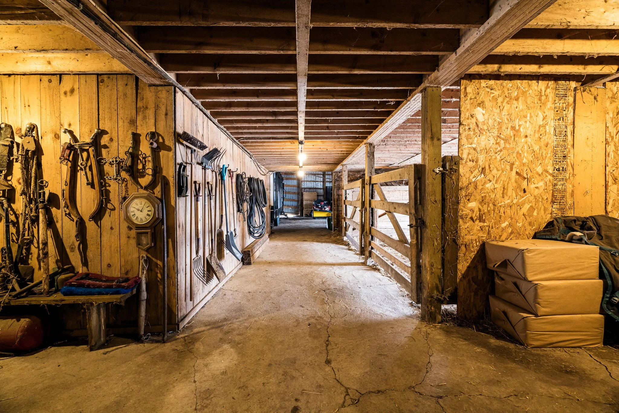 4620 Appleton Side Rd_073.jpg