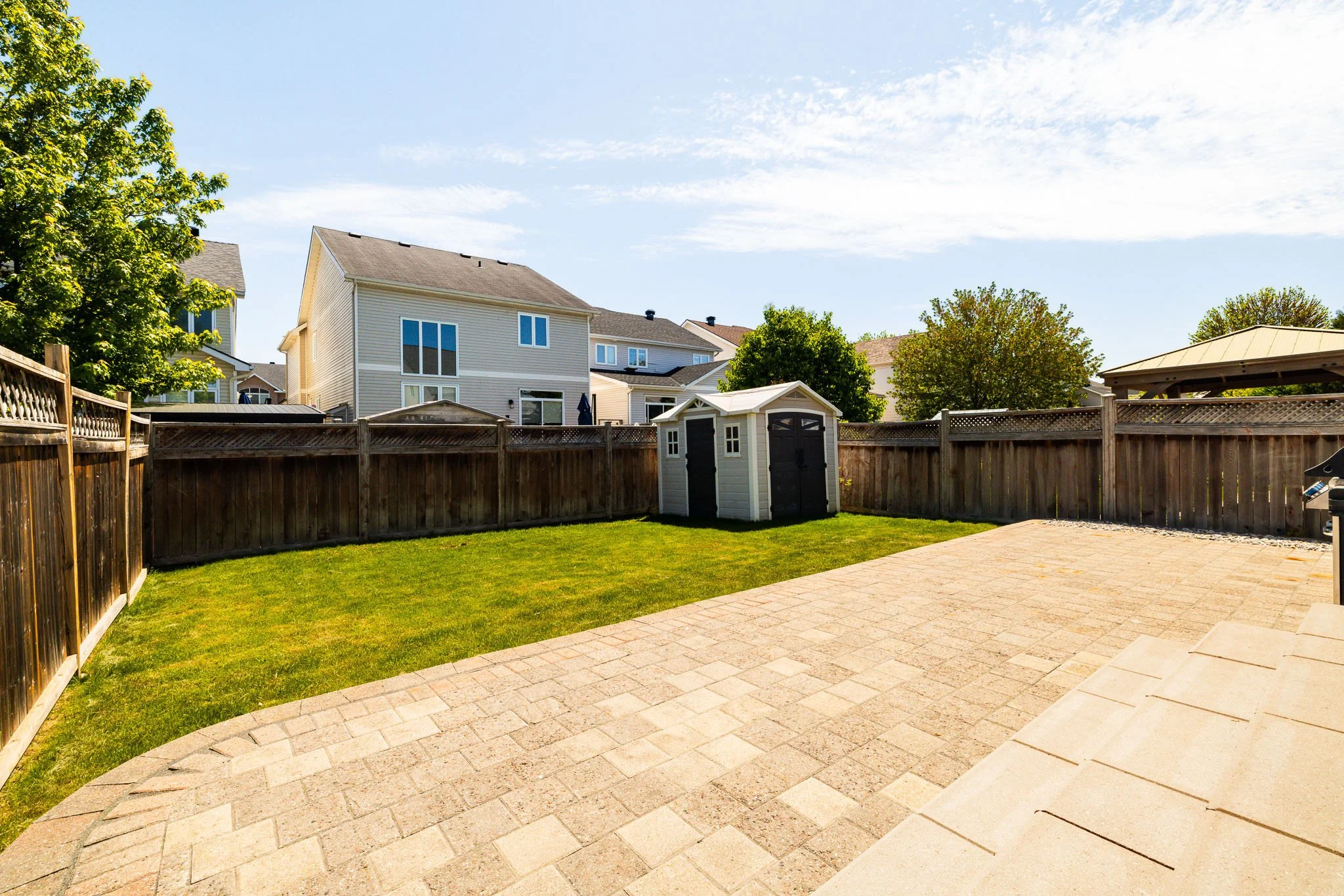30 Mountain Ash__053.jpg