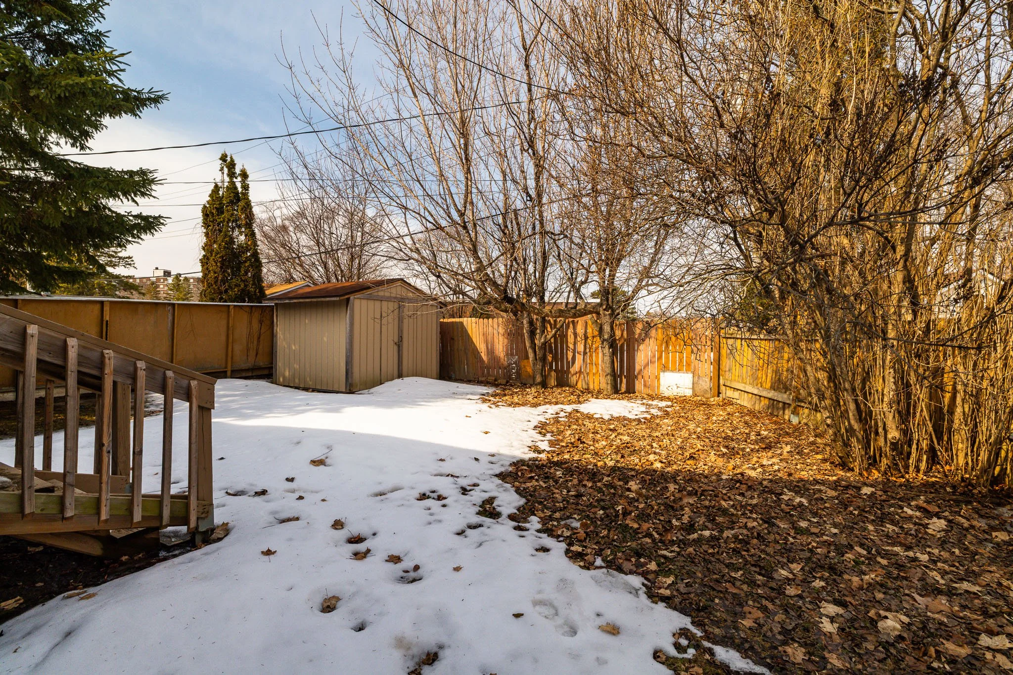 2196 Plesser_058.jpg