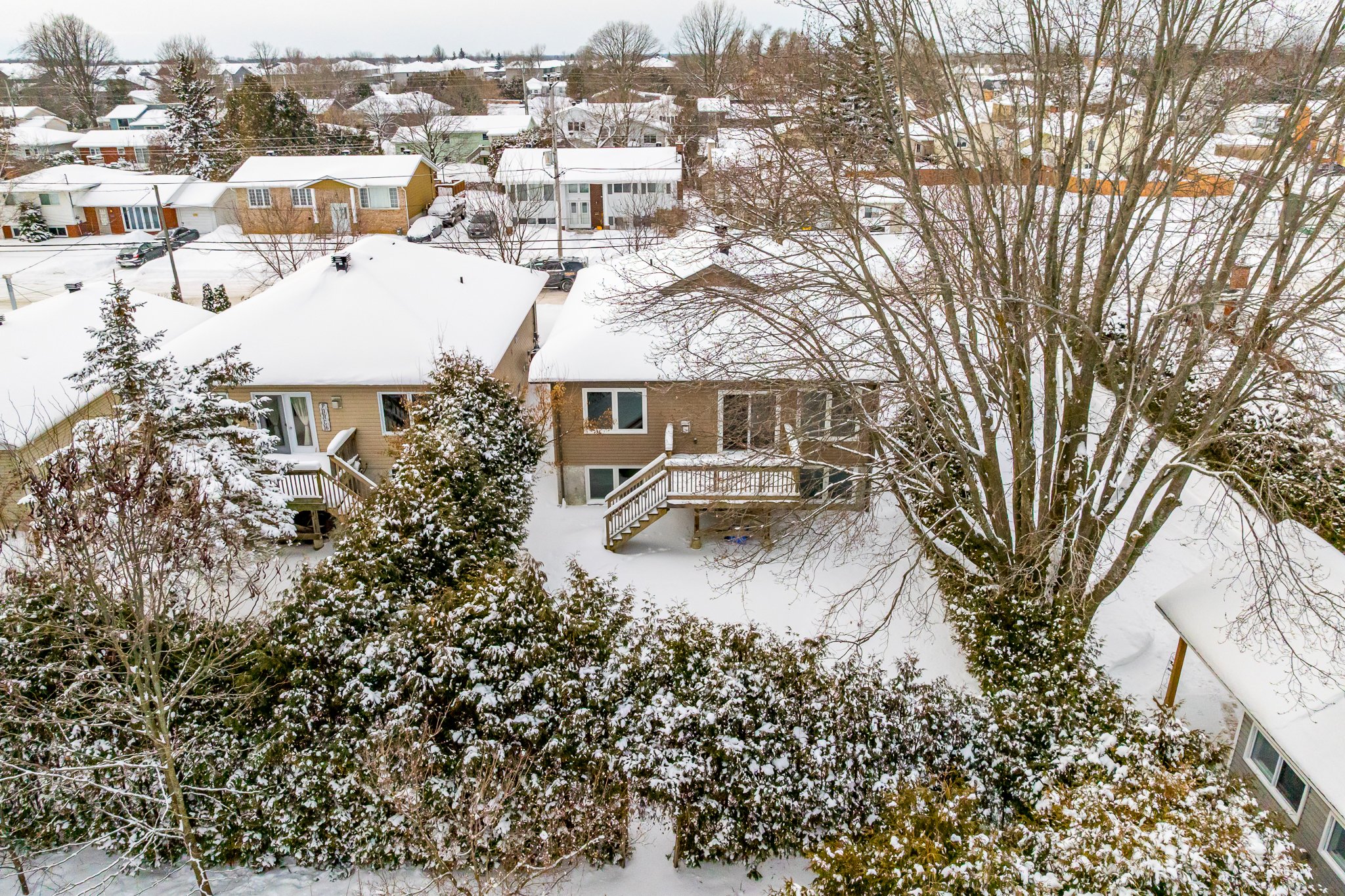 193 Napoleon_053.jpg