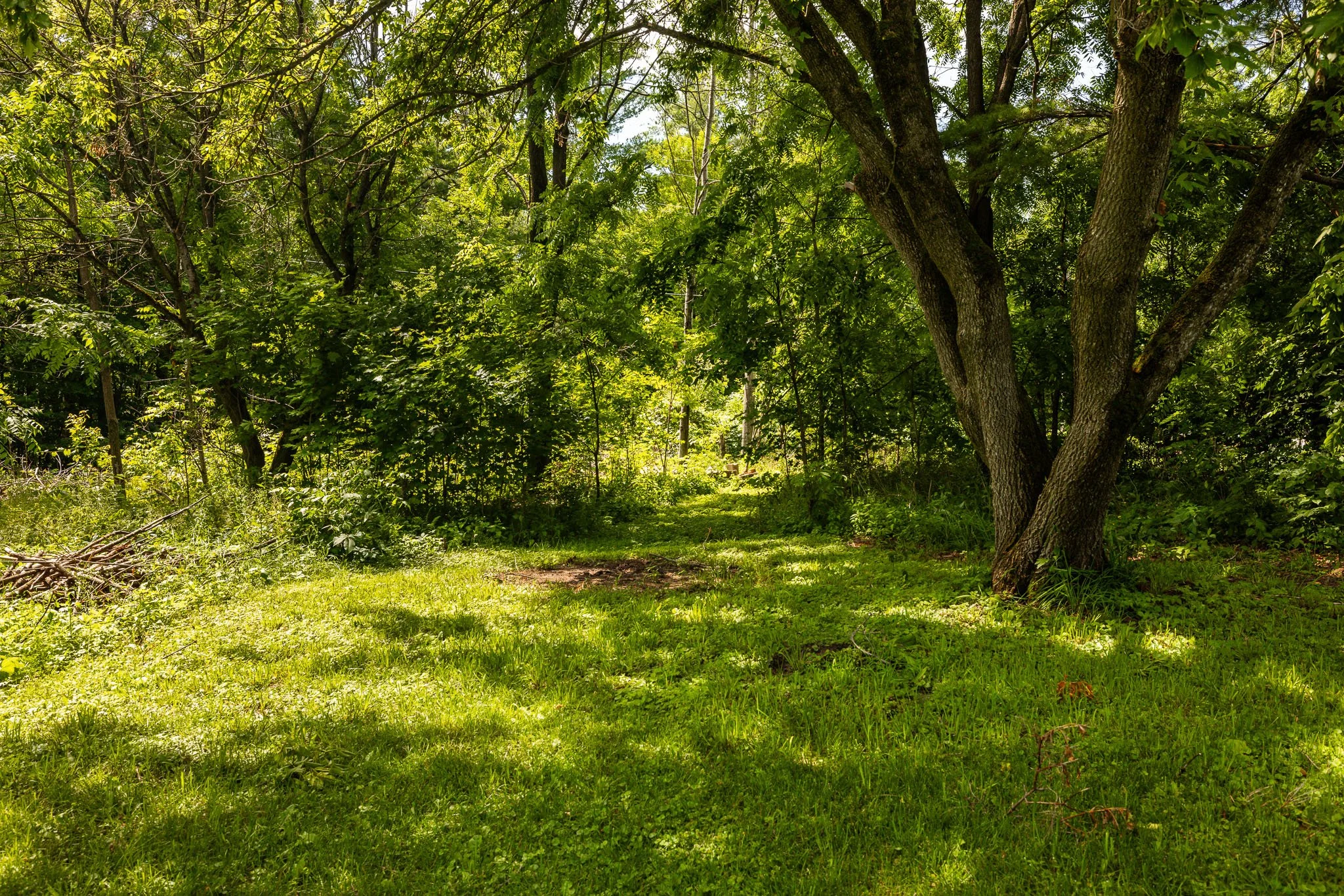 236 Blakeney_0057.jpg