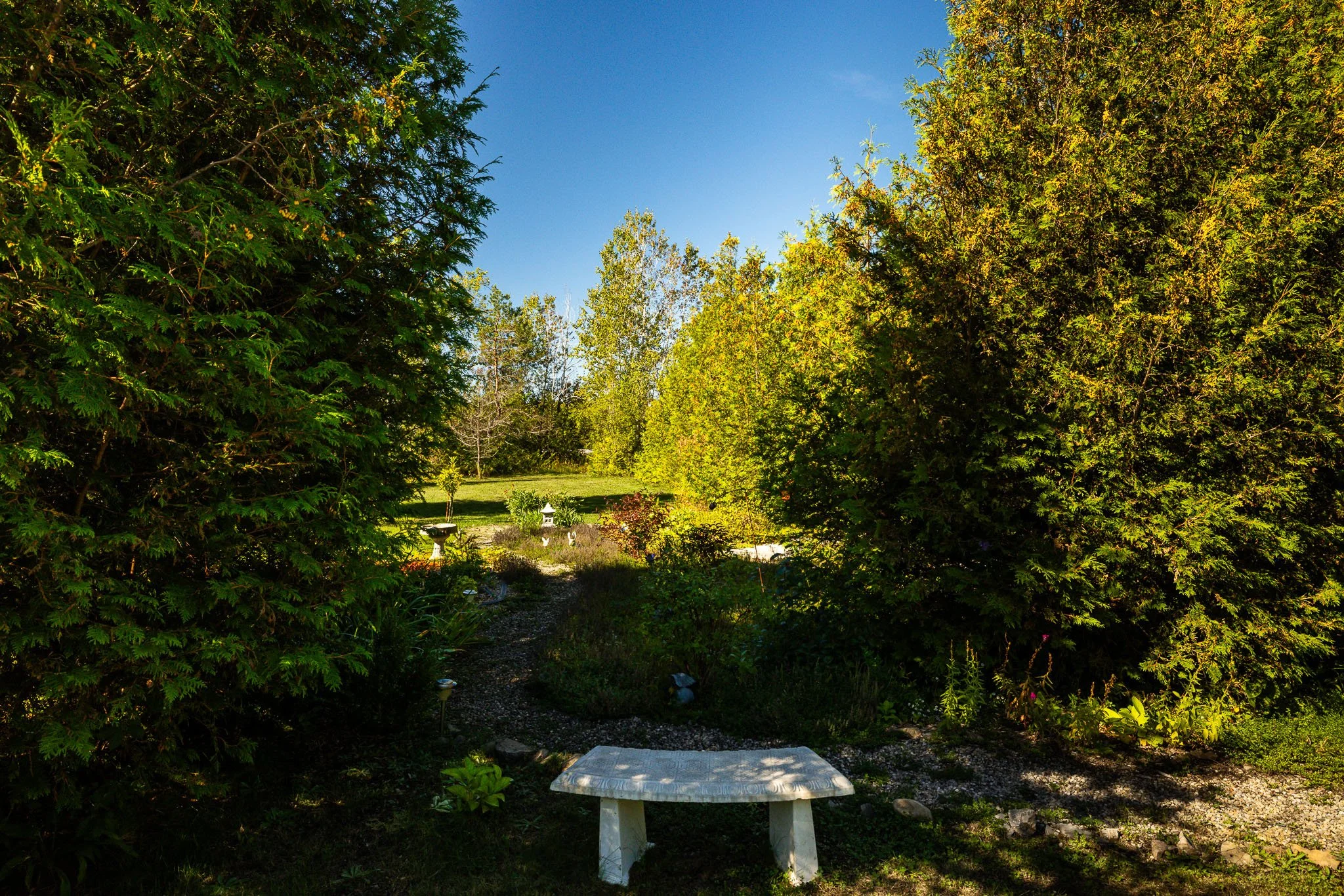 3417 CR 16_0073.jpg