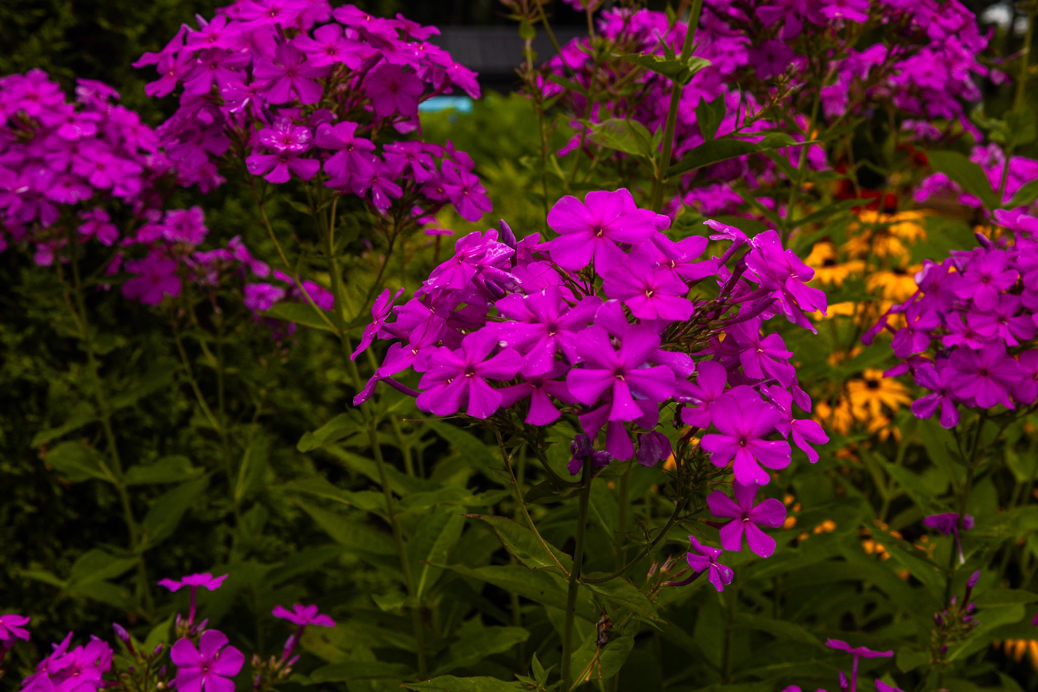 116 Brookberry_0071.jpg